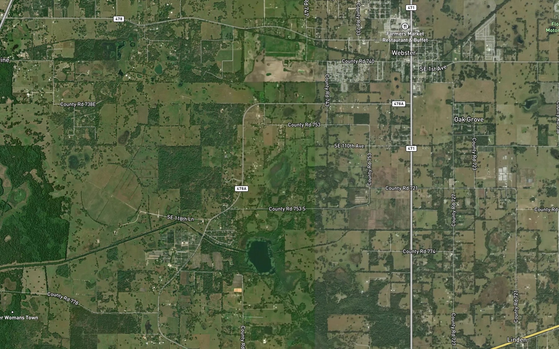 Satellite map of the Little Gant Lake