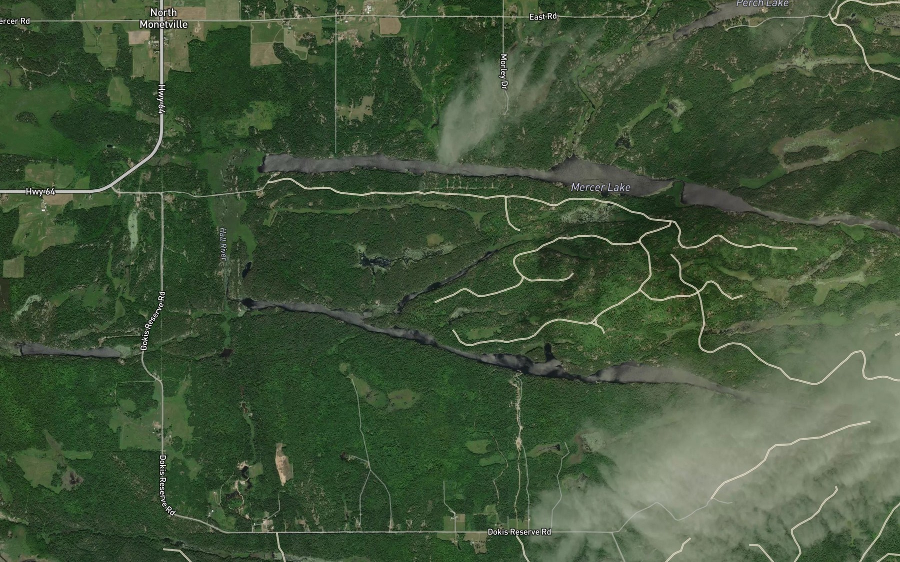 Satellite map of the Doe Lake