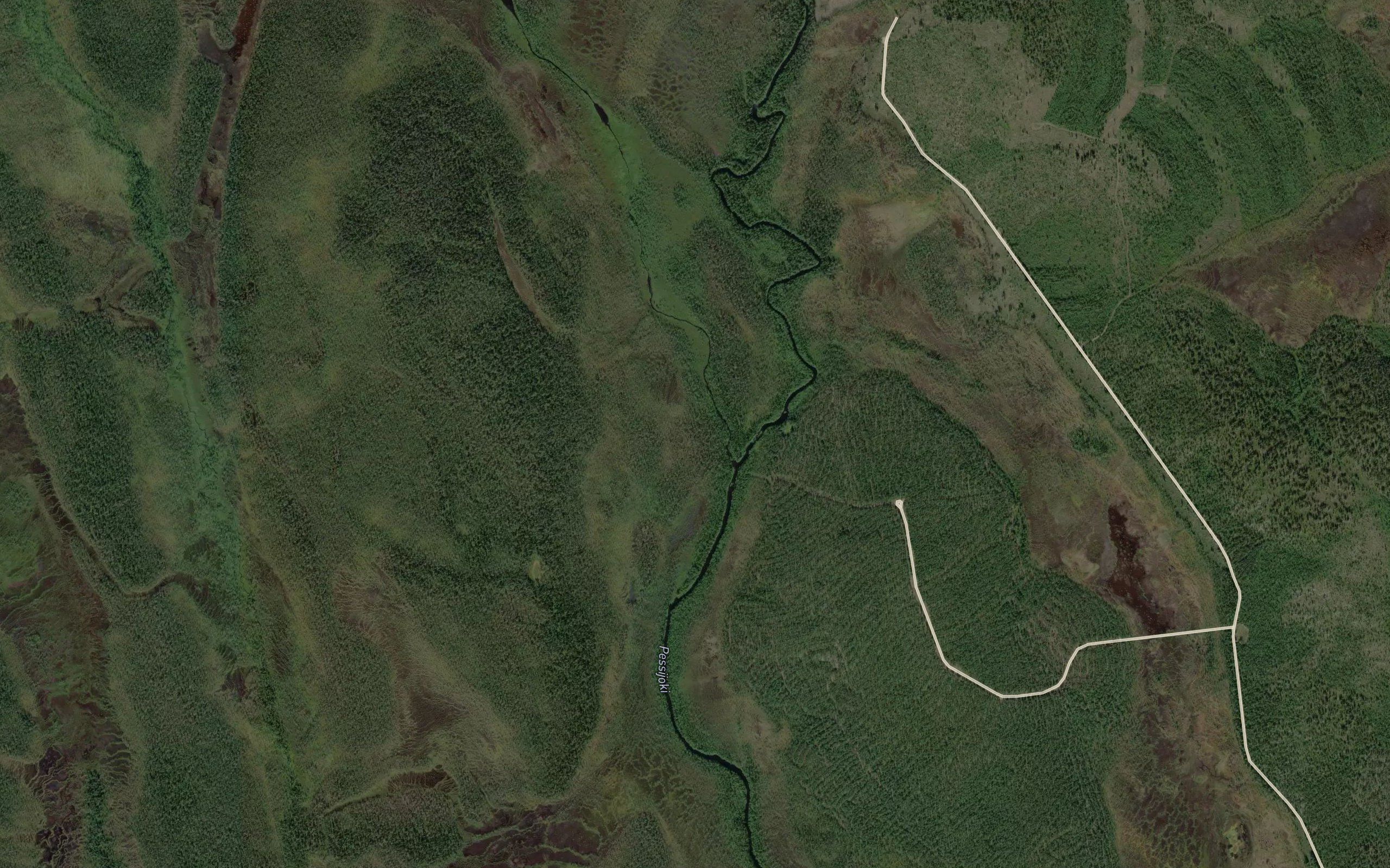 Neitseloja