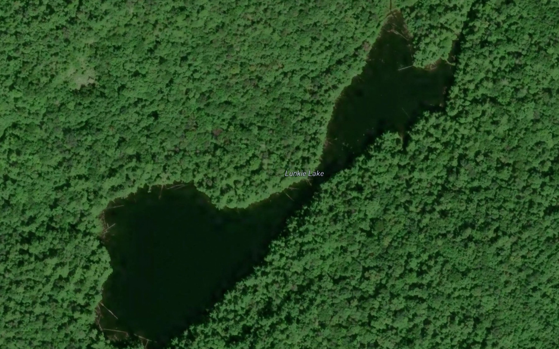Satellite map of the Lunkie Lake