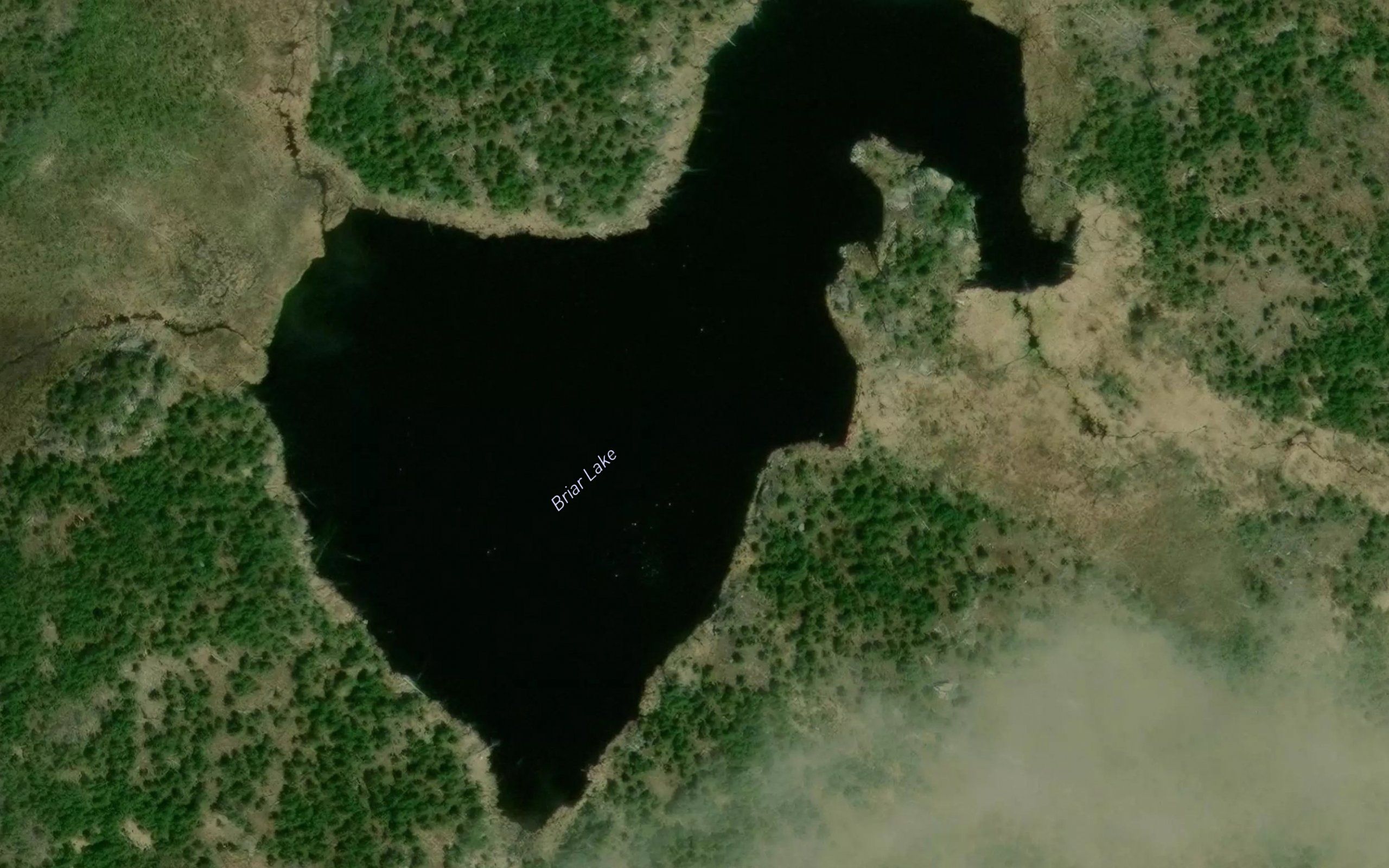 Briar Lake