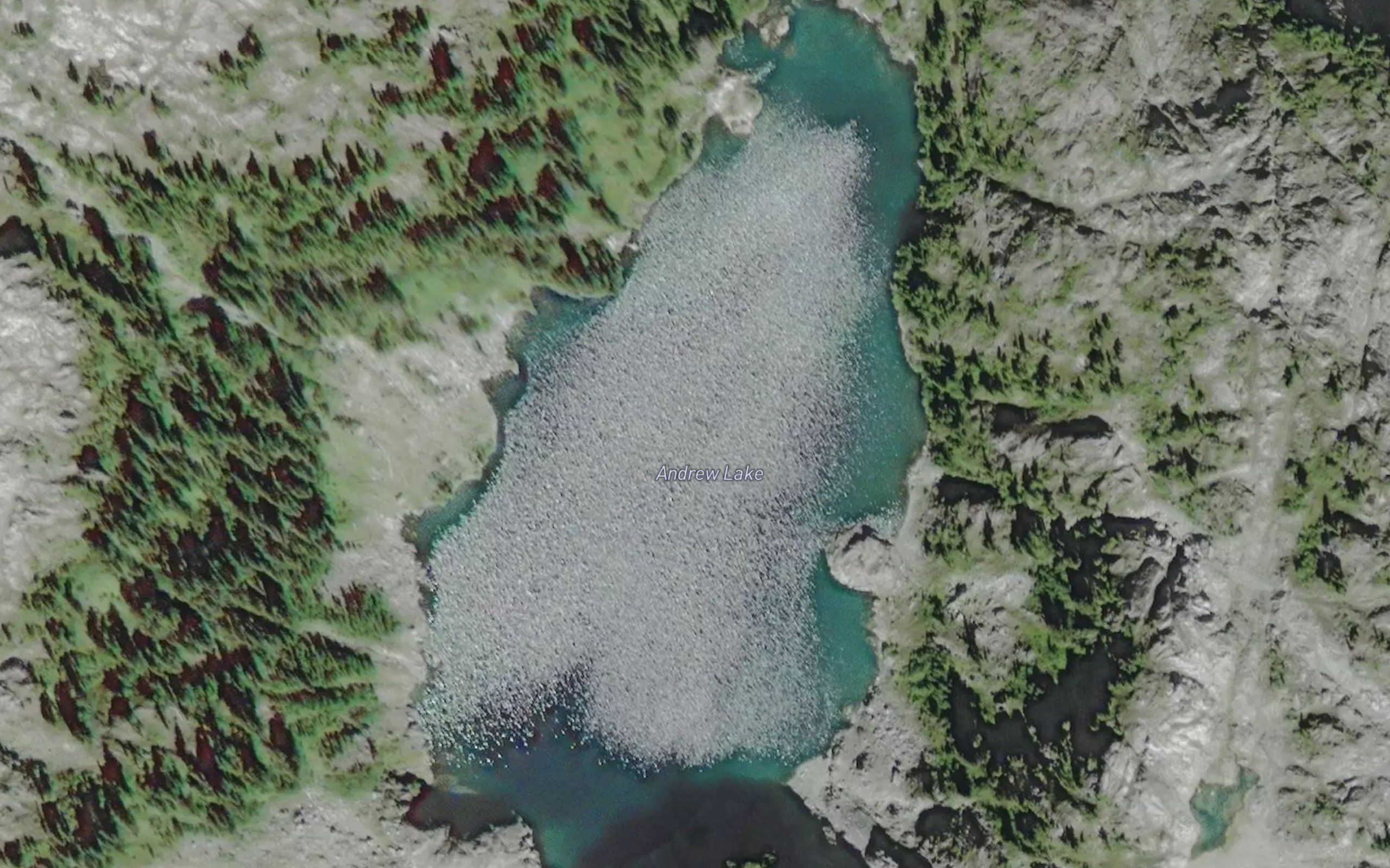 Andrew Lake