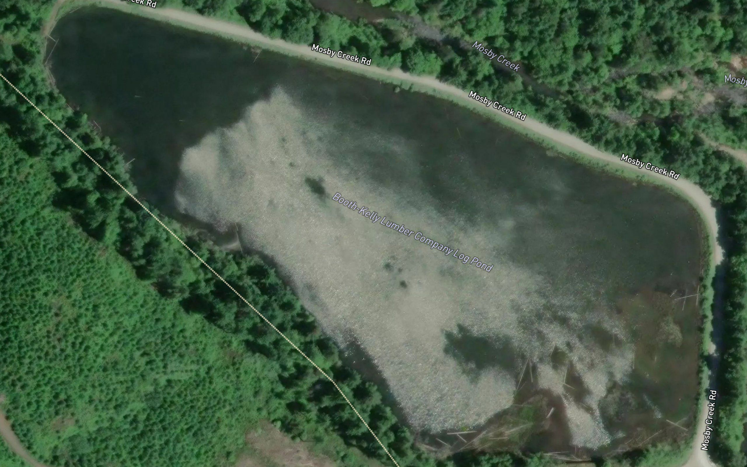 Booth-Kelly Lumber Company Log Pond