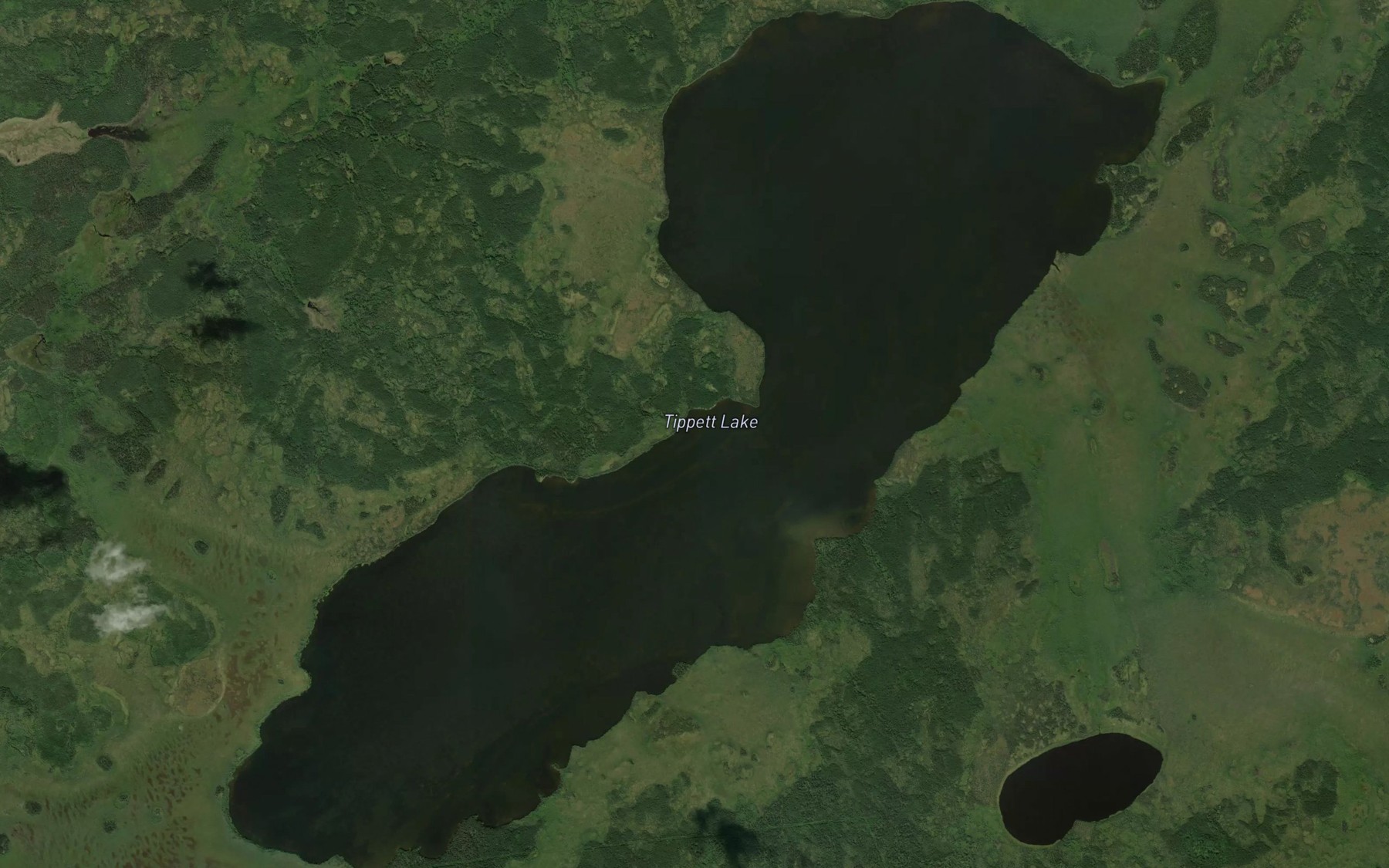 Satellite map of the Tippett Lake