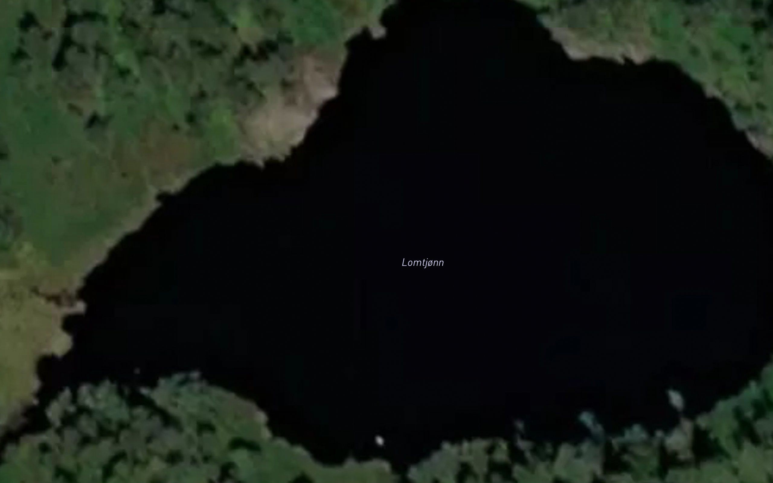 Lomtjonn