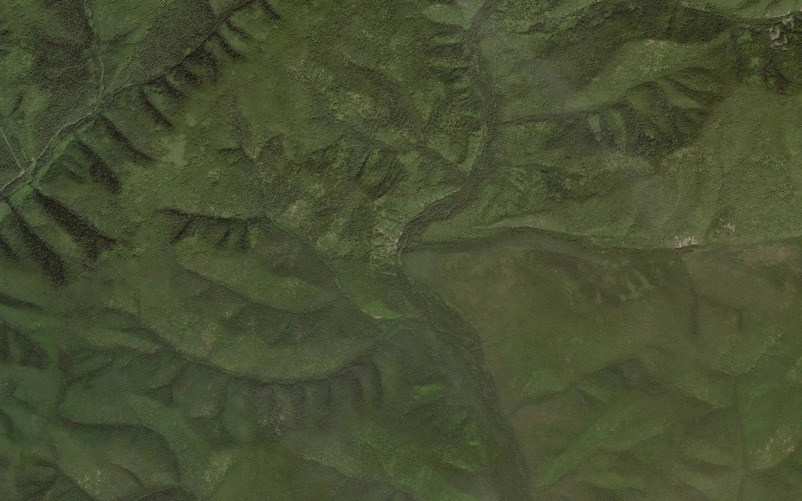 Kustarnikovyy