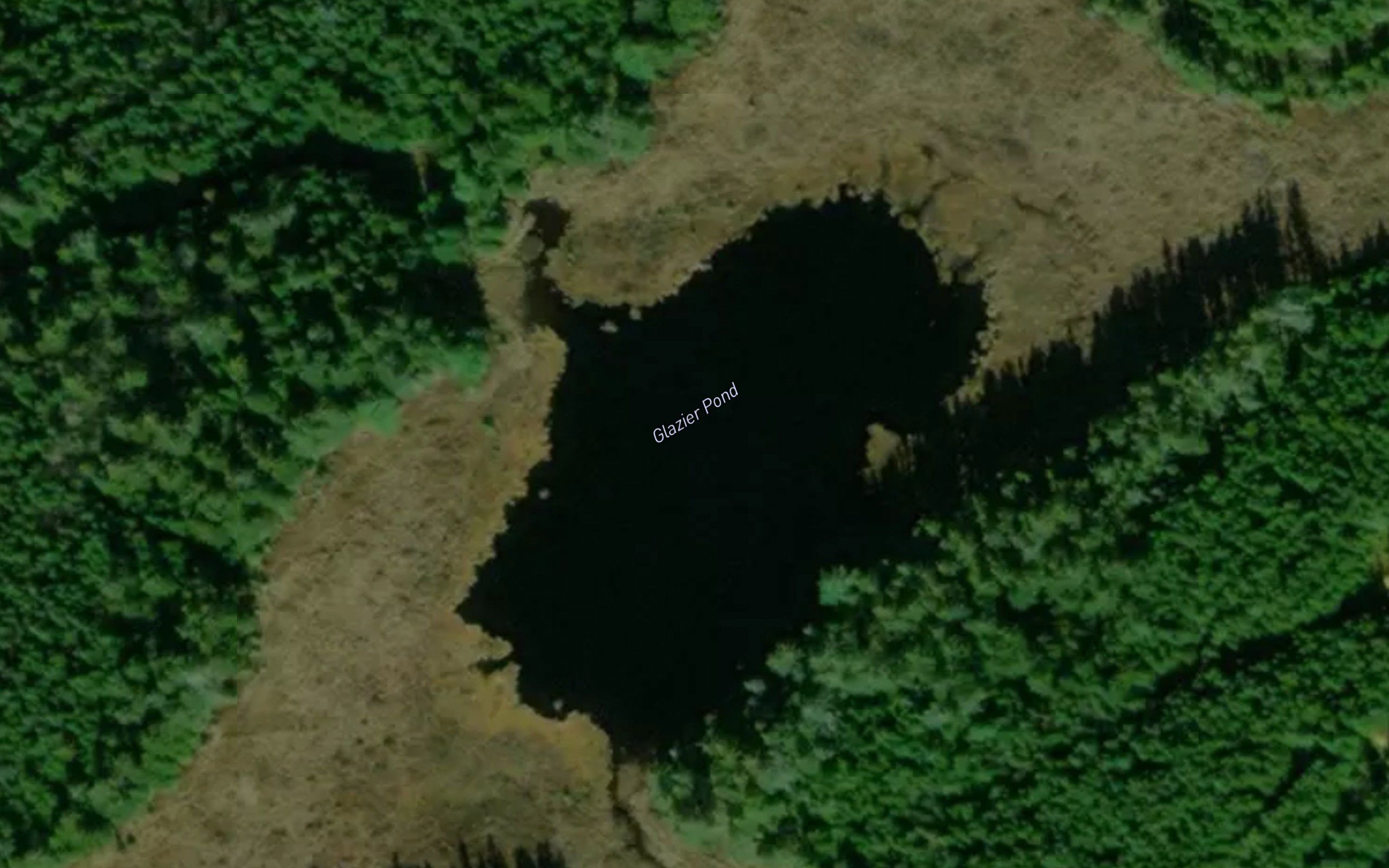Glazier Pond