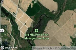 Mill Pond