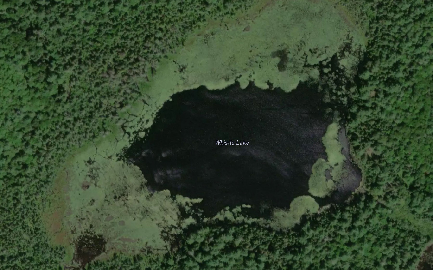 Satellite map of the Whistle Lake
