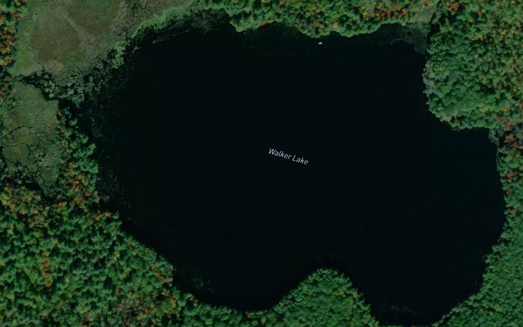 Satellite map of the Walker Lake