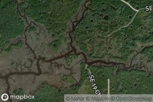 Bullfrog Creek