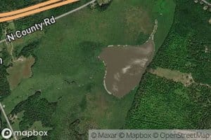 Ward Stream