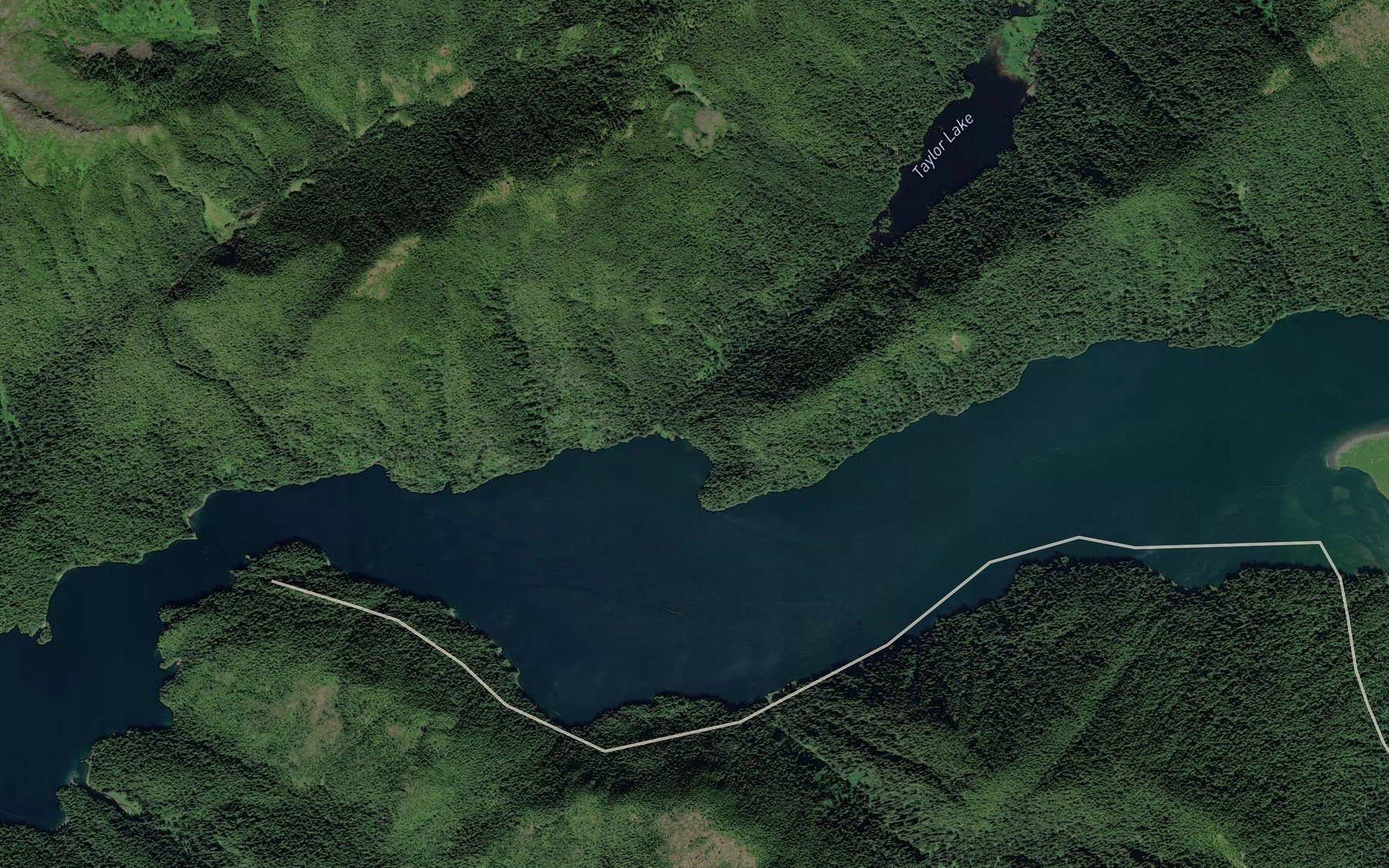 Satellite map of the Taylor Creek