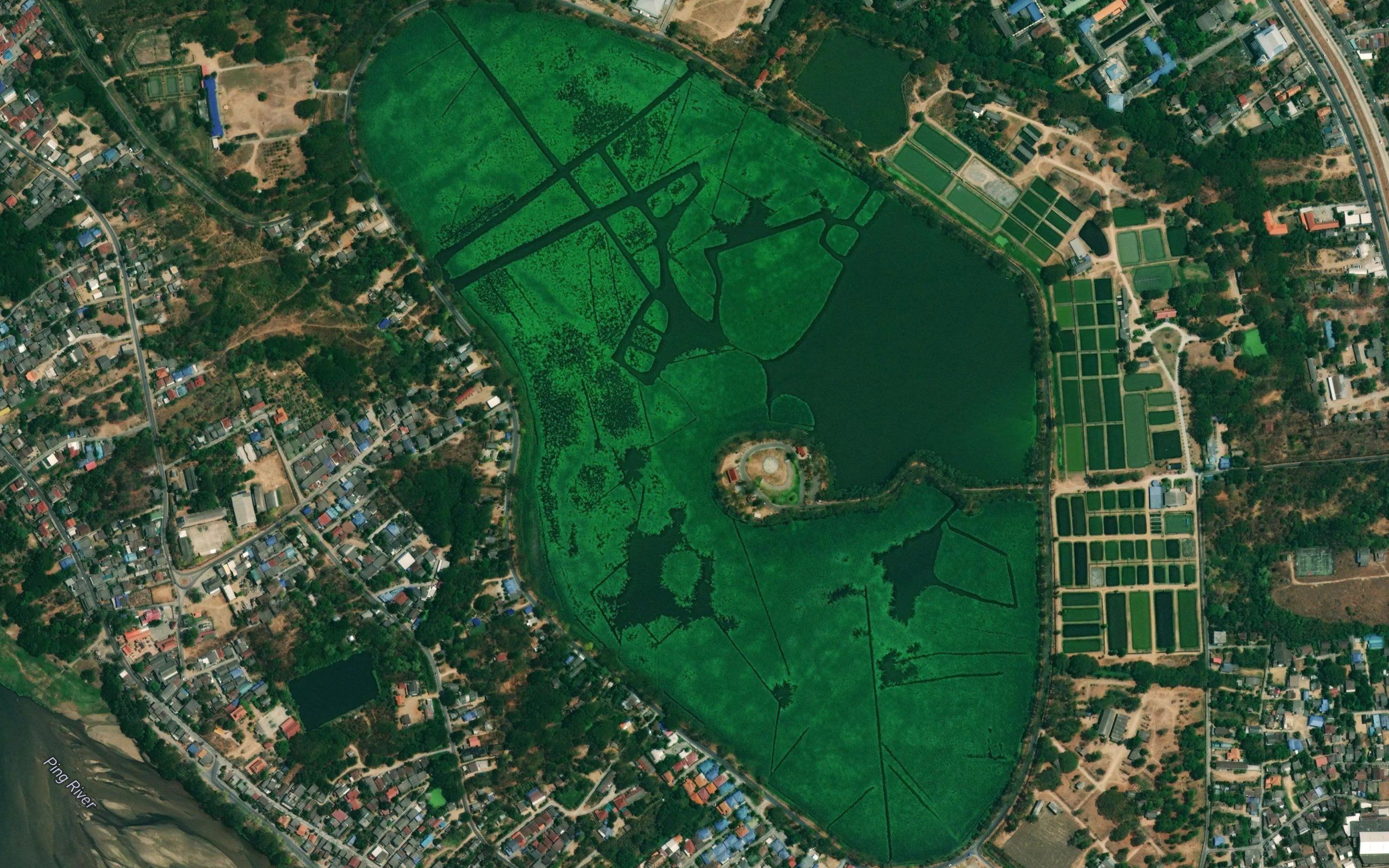 Nong Luang