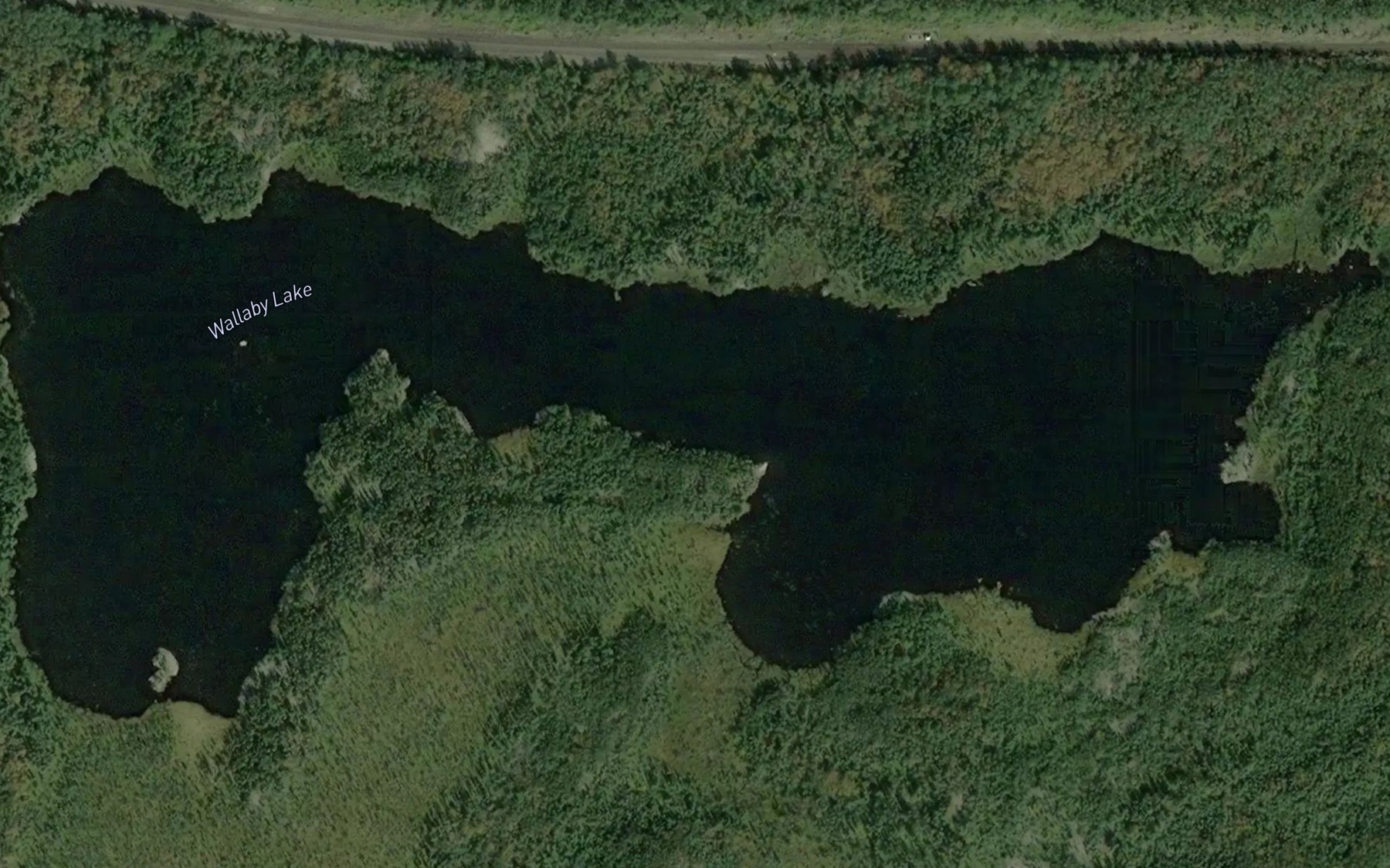 Satellite map of the Wallaby Lake