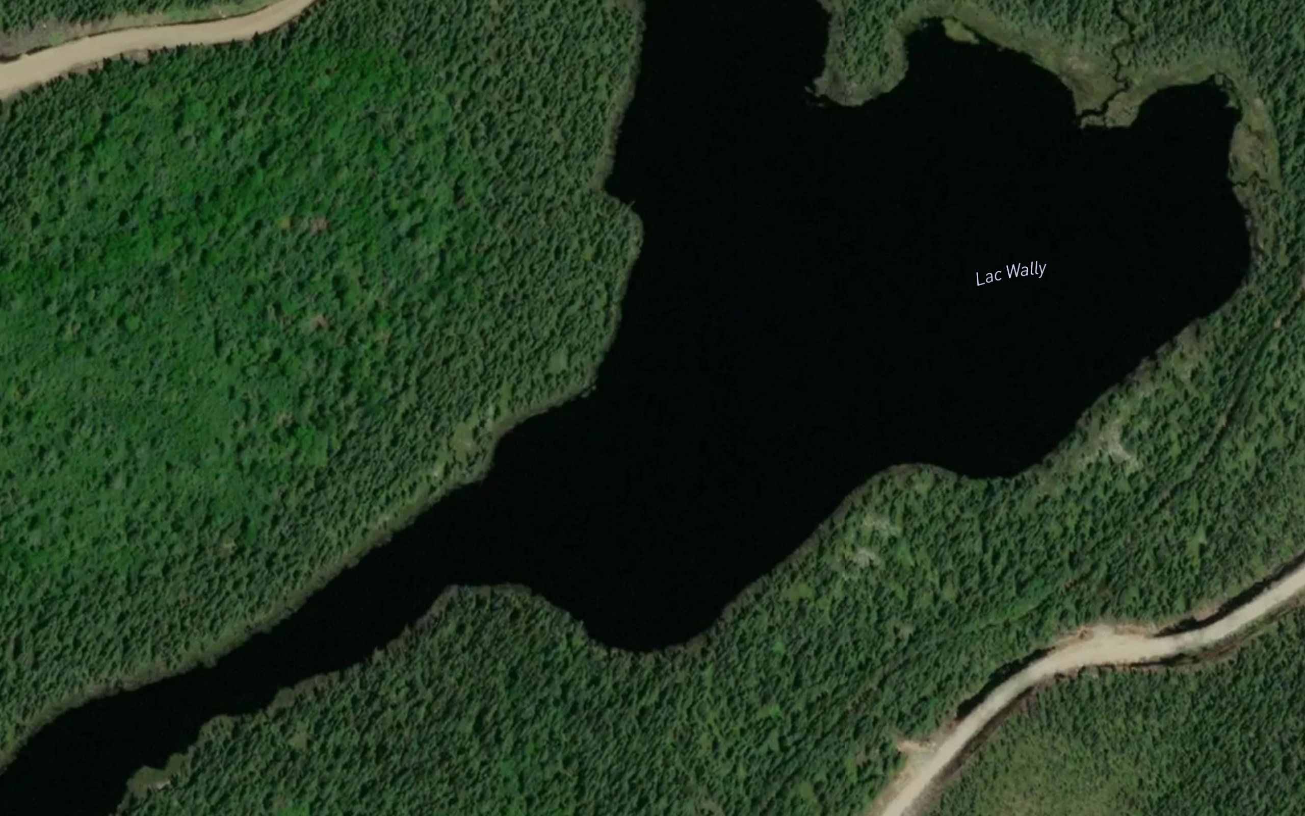 Lac Wally