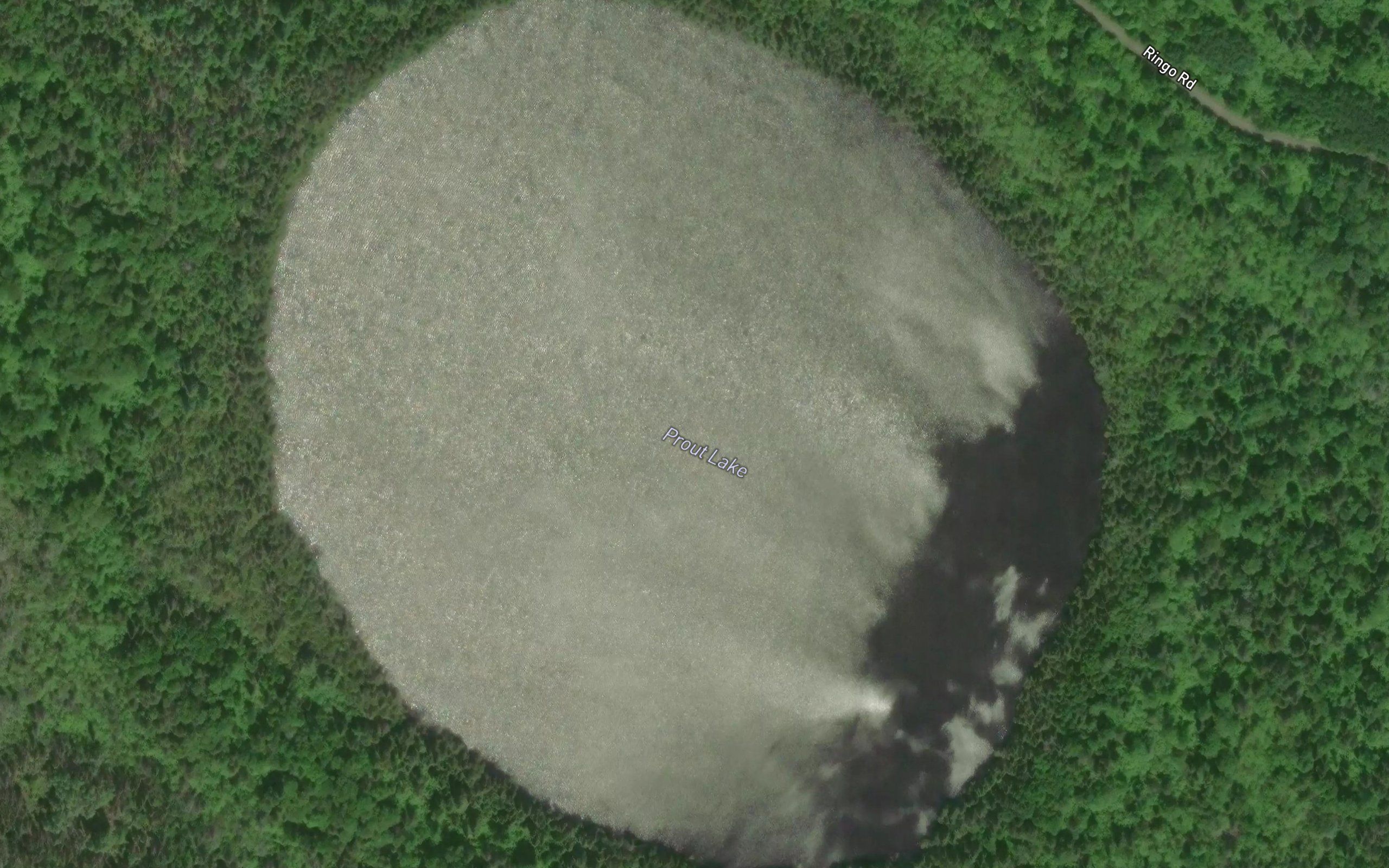 Prout Lake
