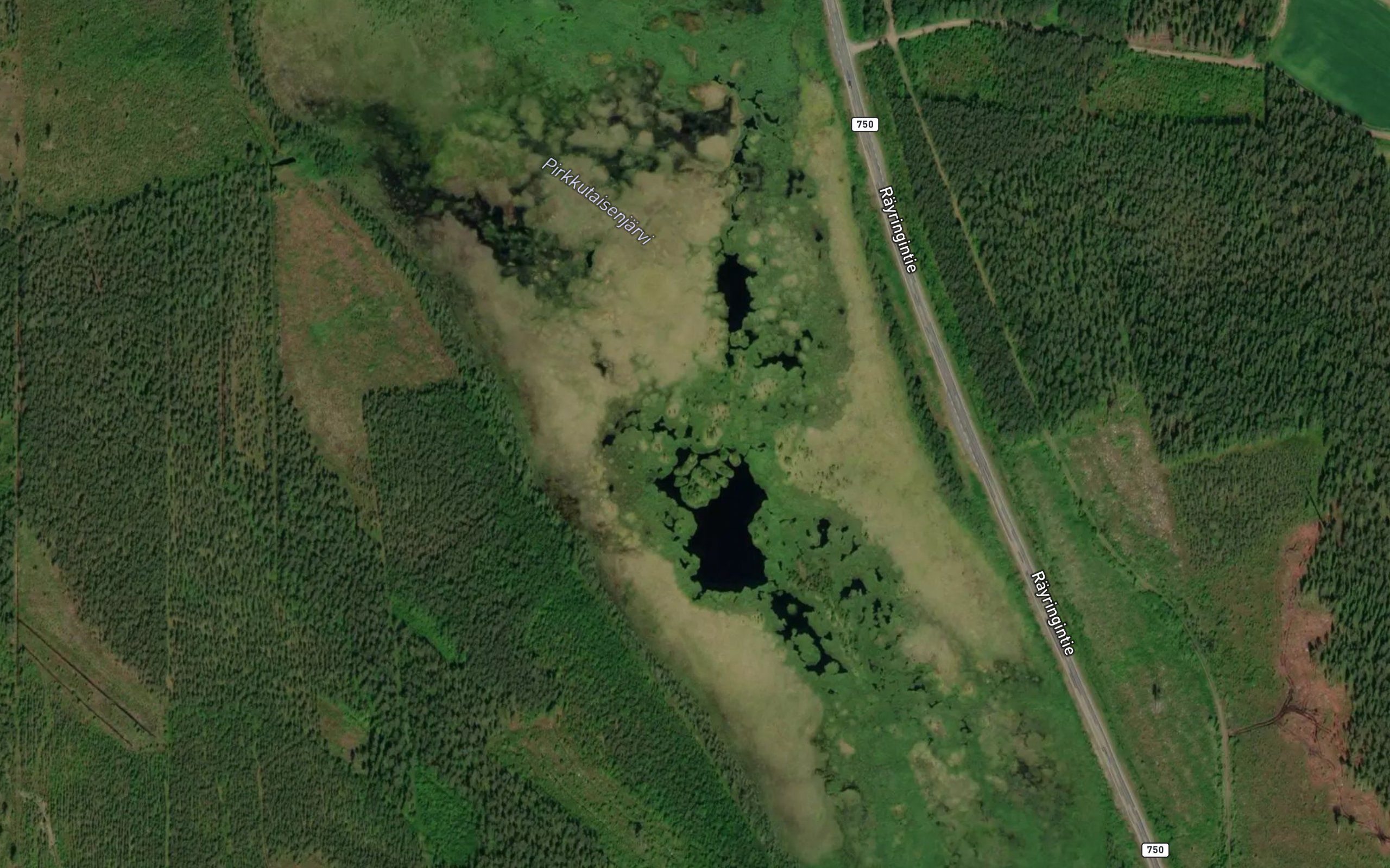 Pirkkutaisenjarvi