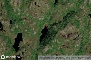 Daltjonna