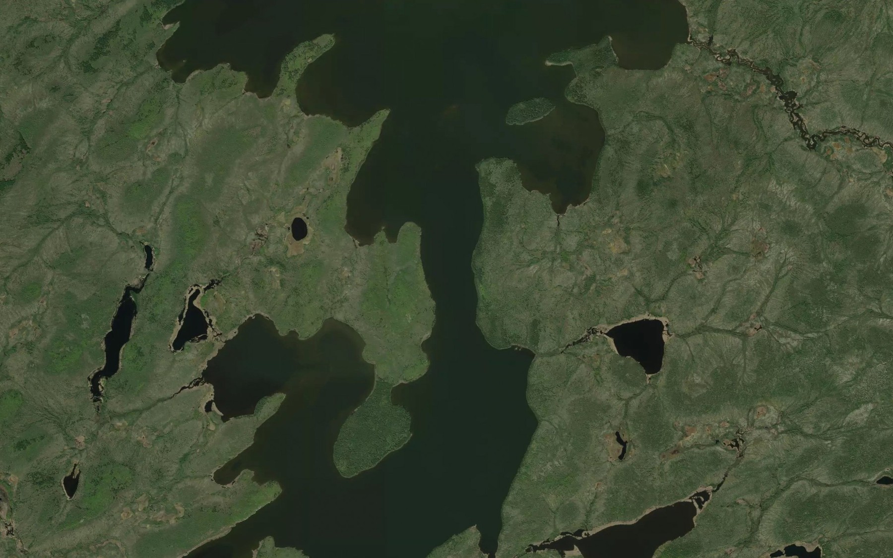 Satellite map of the Pine Lake