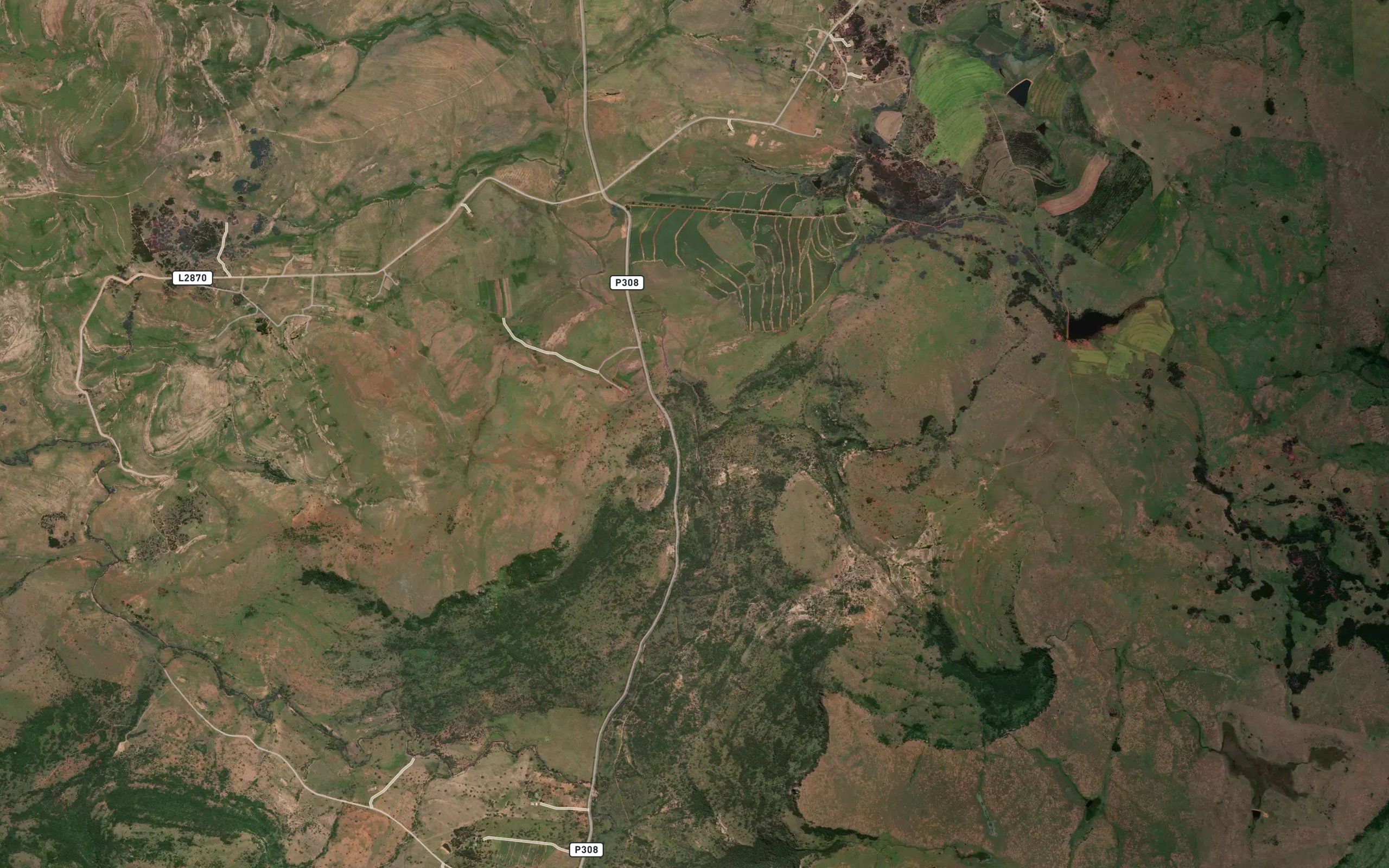 Springspruit