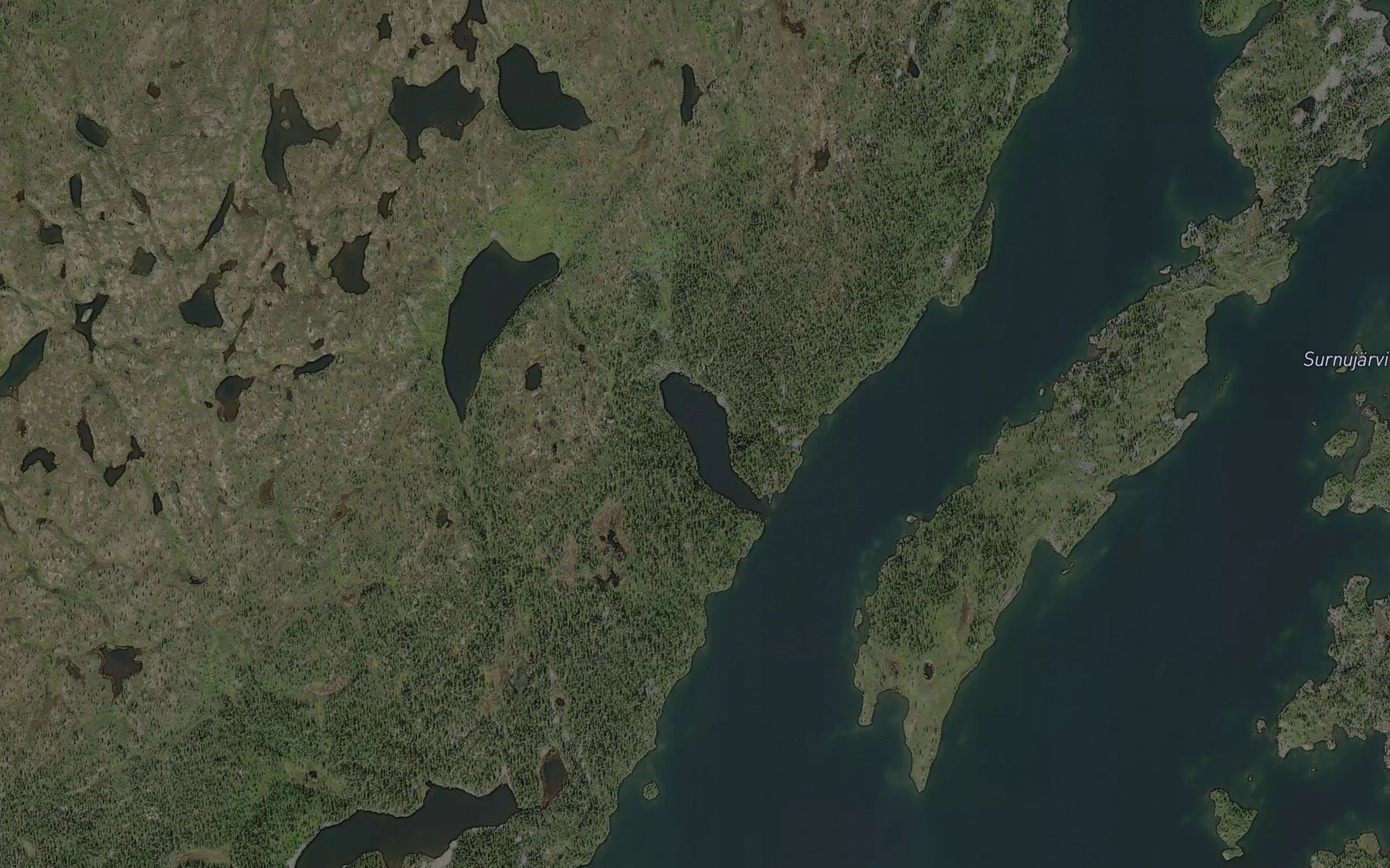 Satellite map of the Maanaluslahti