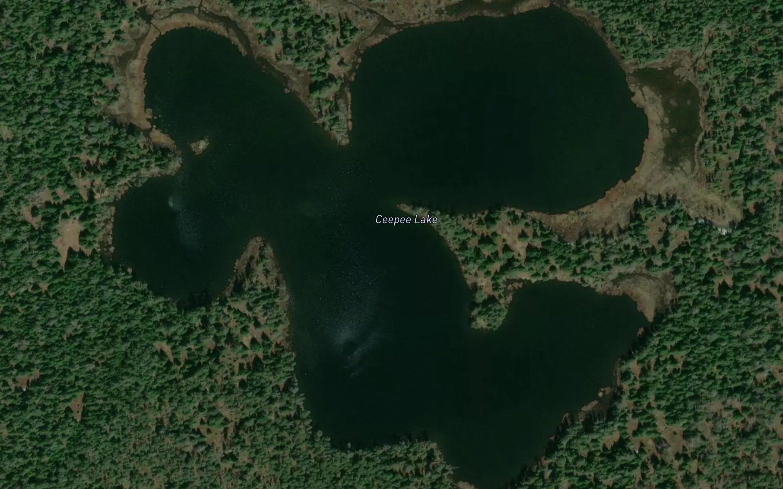 Ceepee Lake