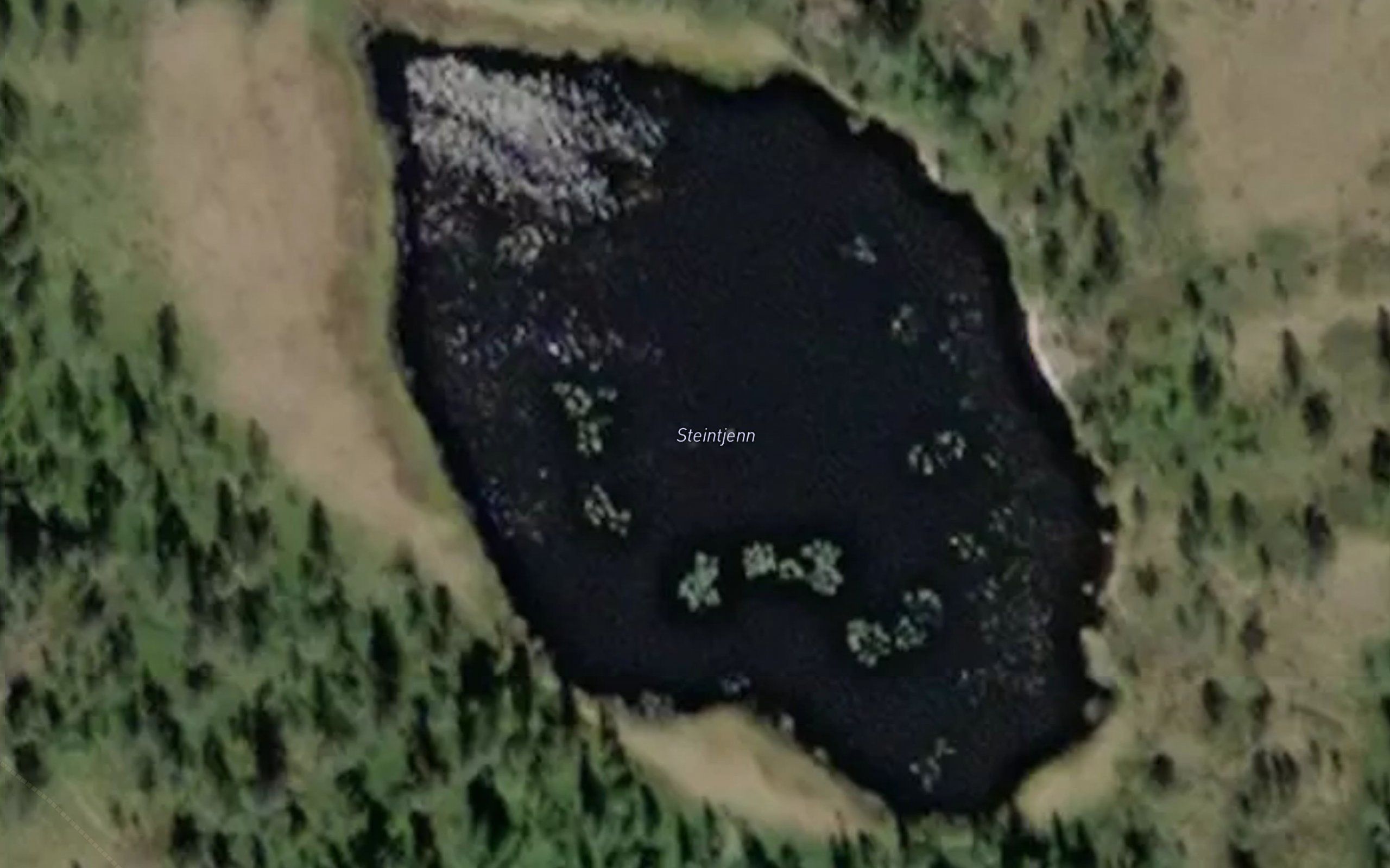 Steintjern