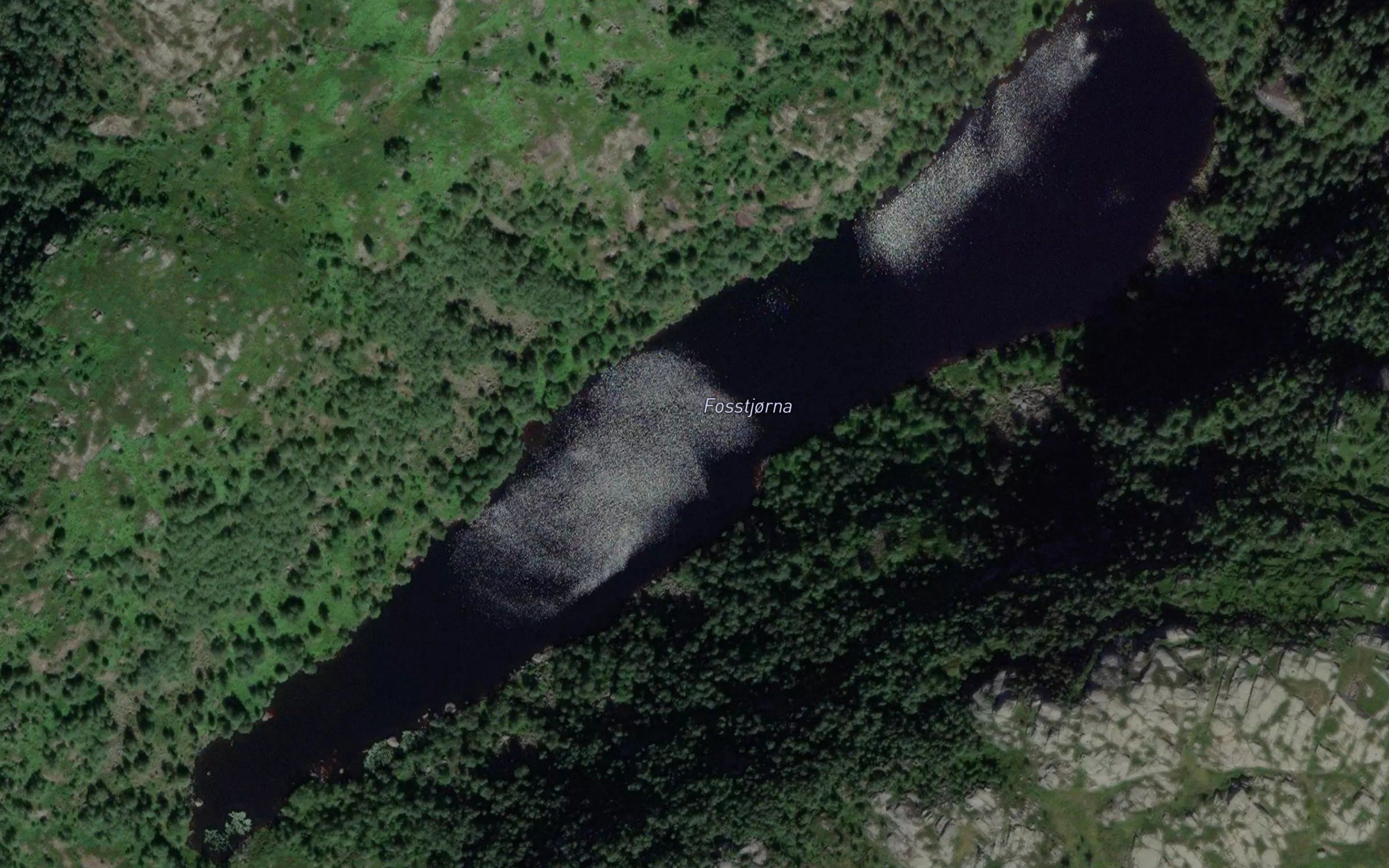 Fosstjorn