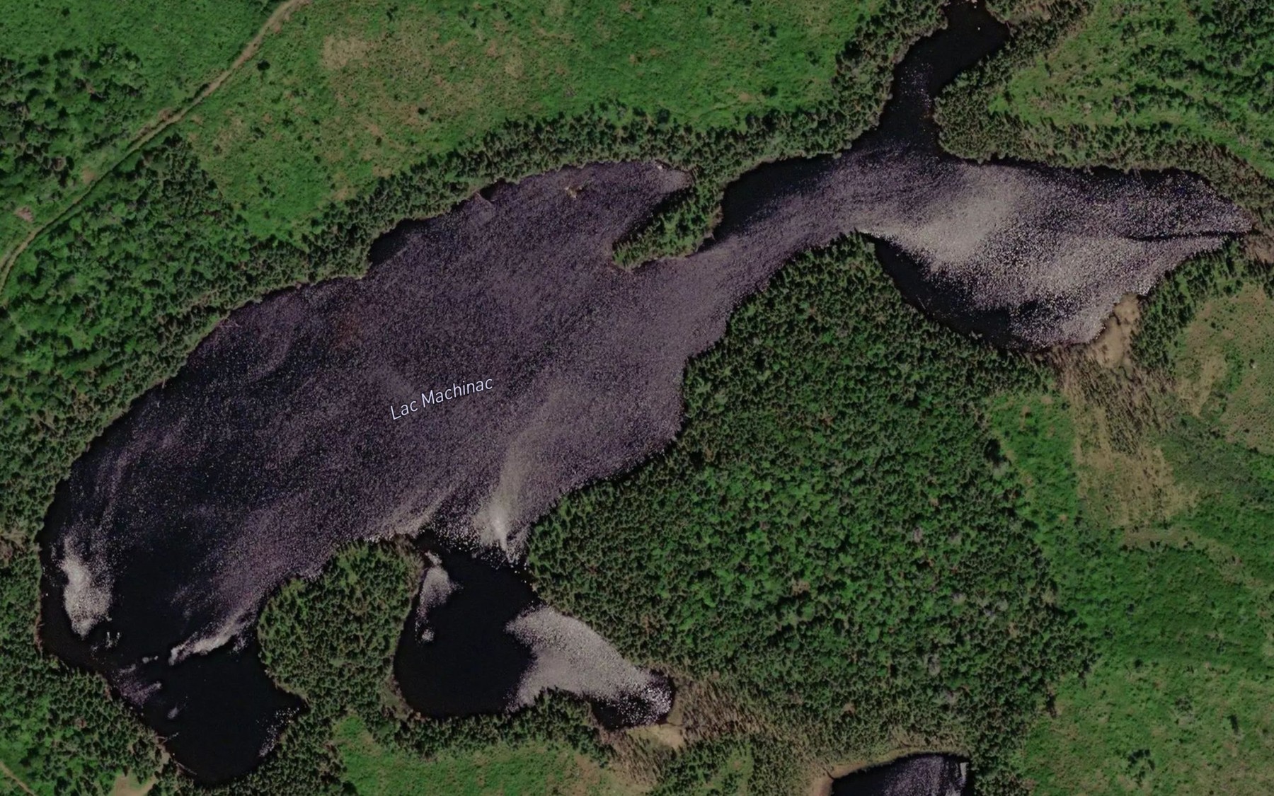 Satellite map of the Lac Machinac