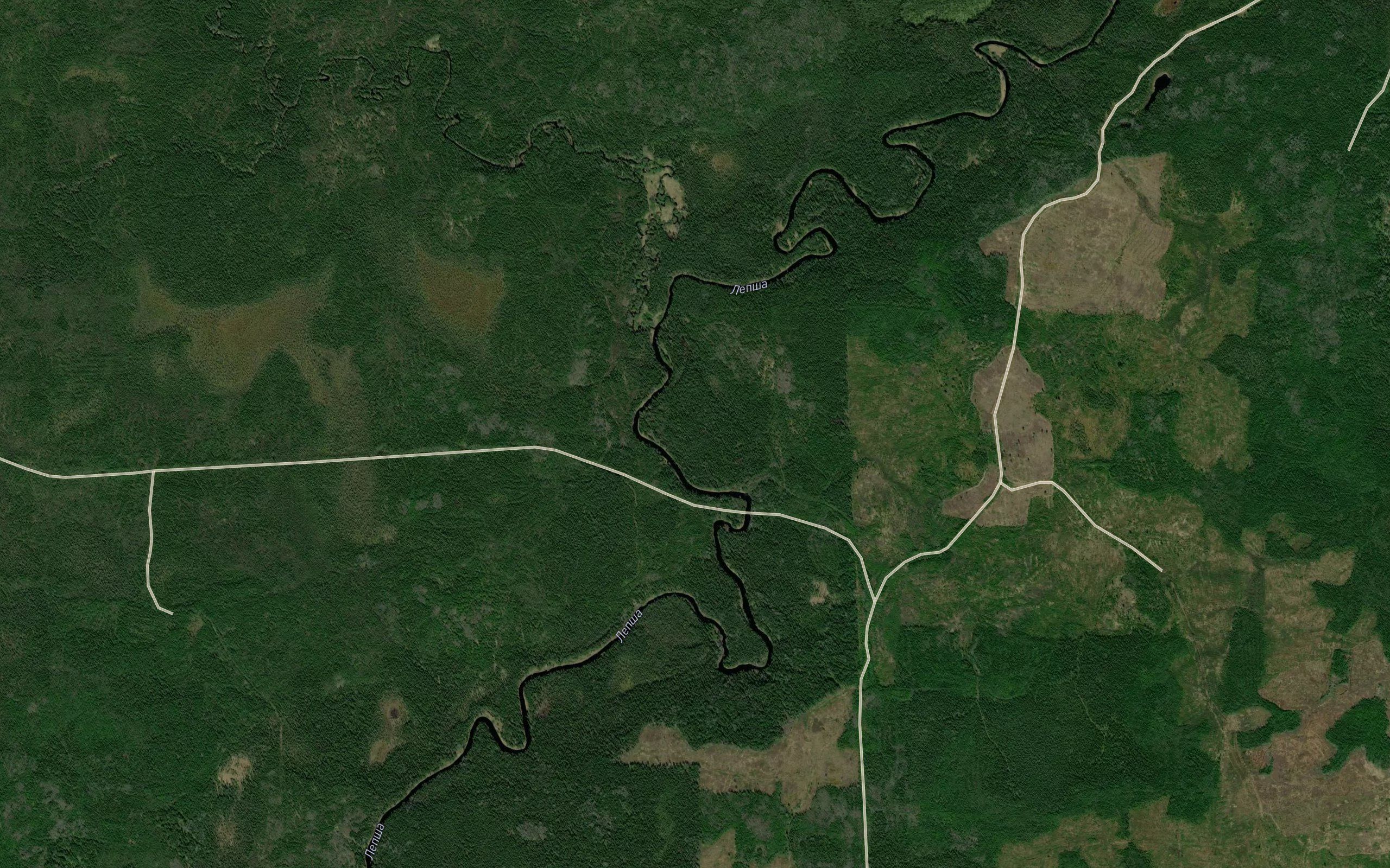 Pongotskiy