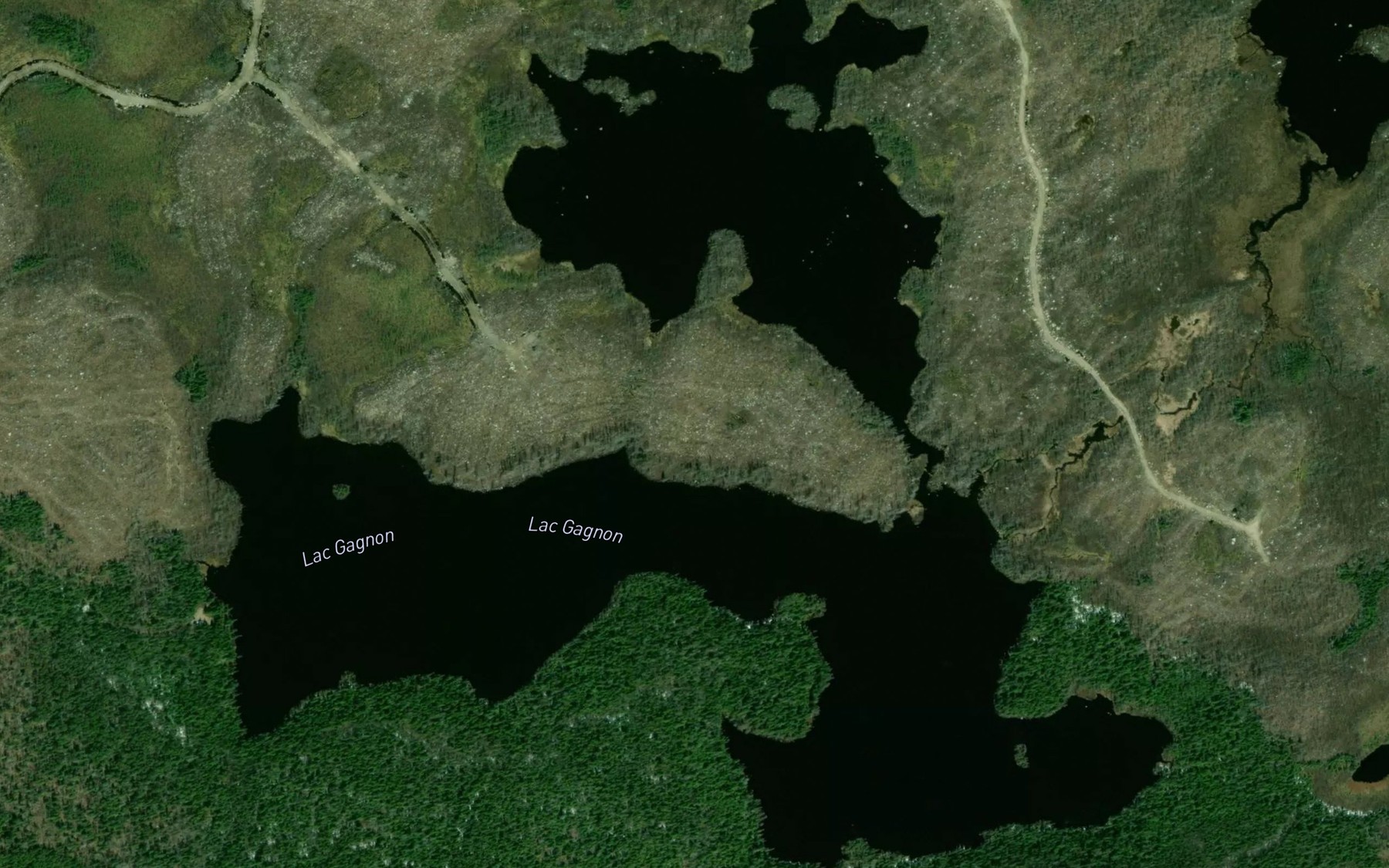 Satellite map of the Lac Gagnon