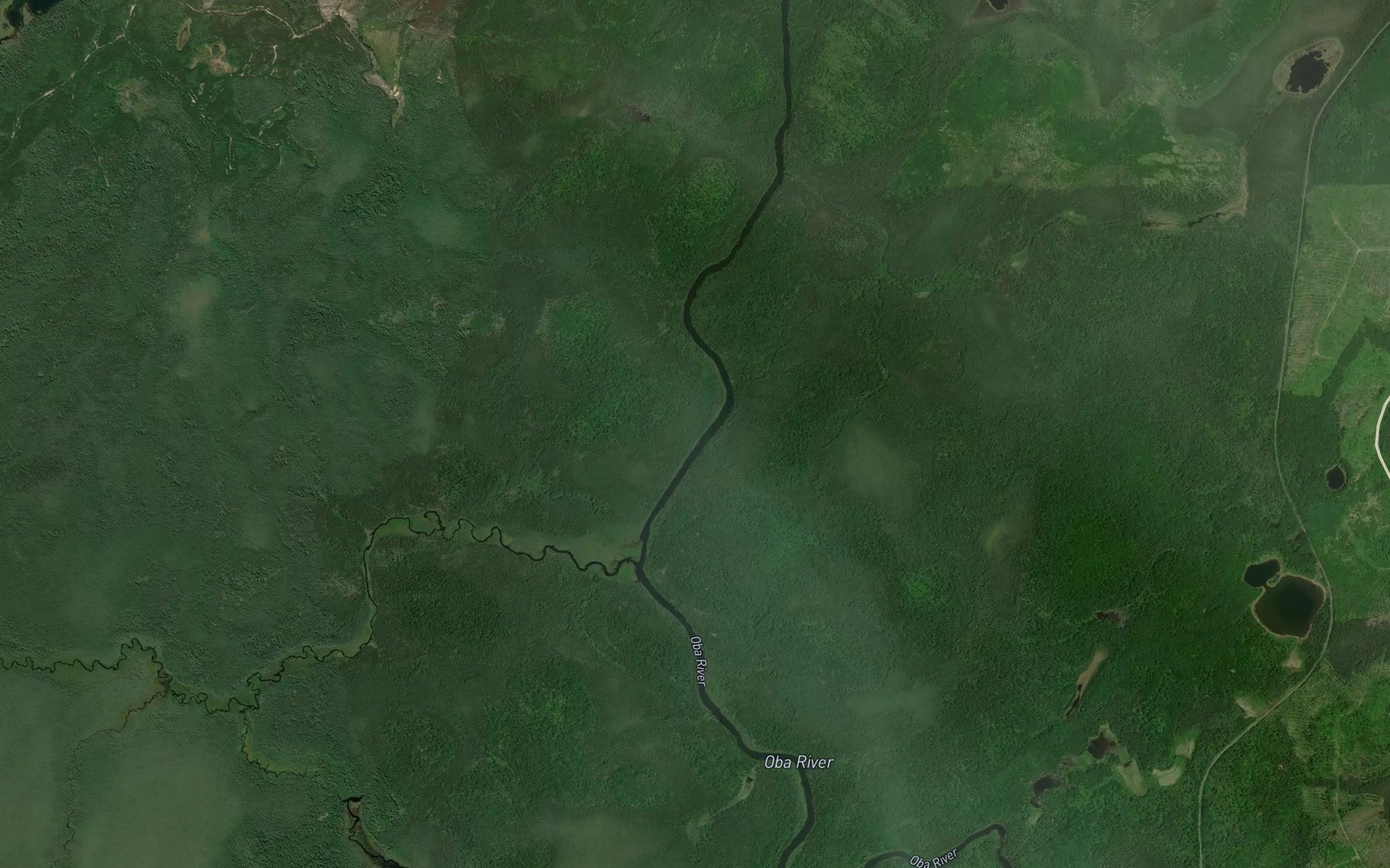 Satellite map of the Carney Creek