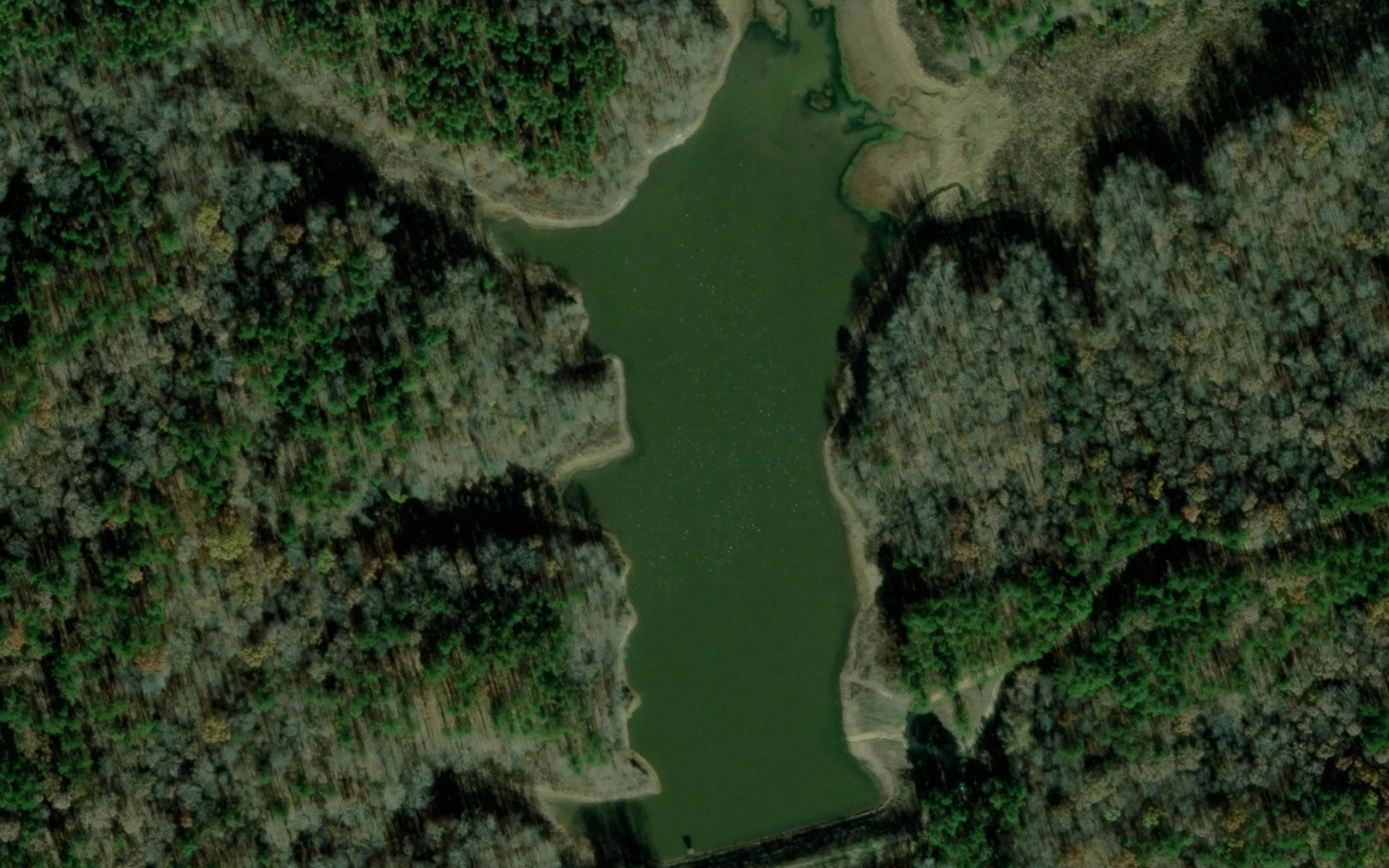 Cox Lake