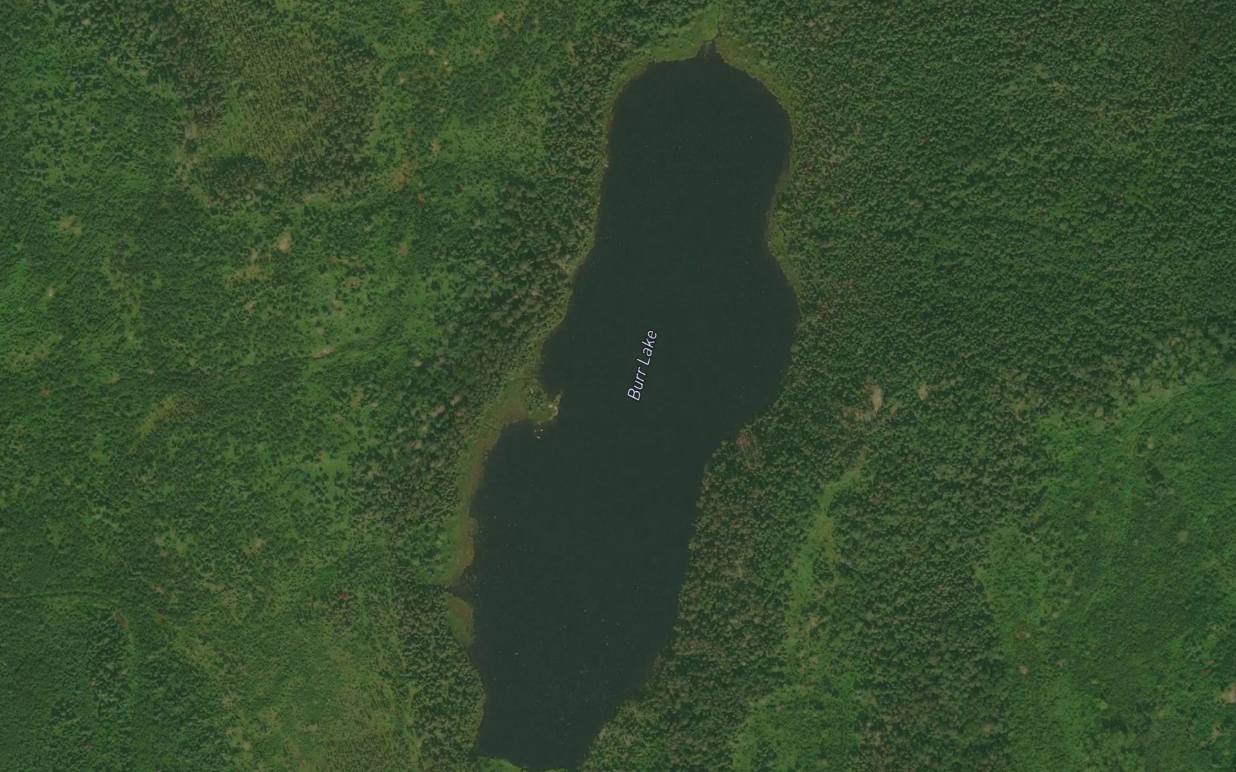Satellite map of the Burr Lake