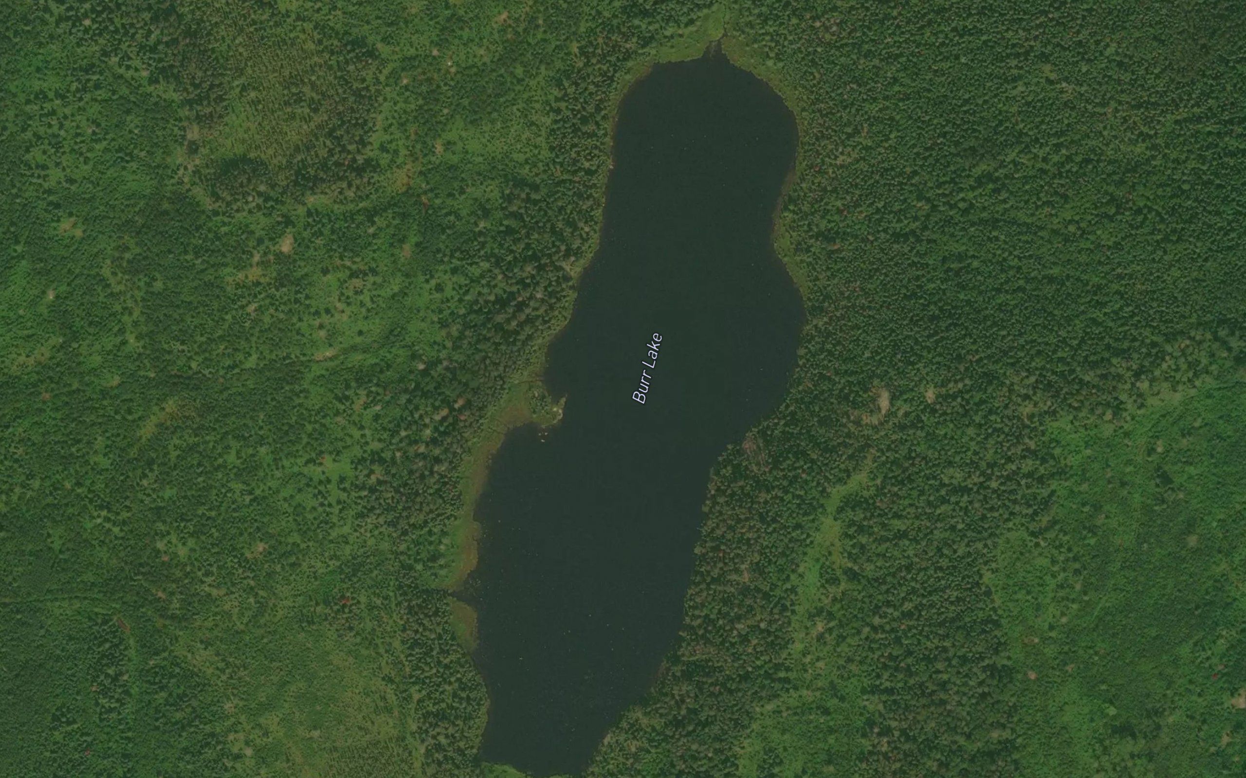 Burr Lake