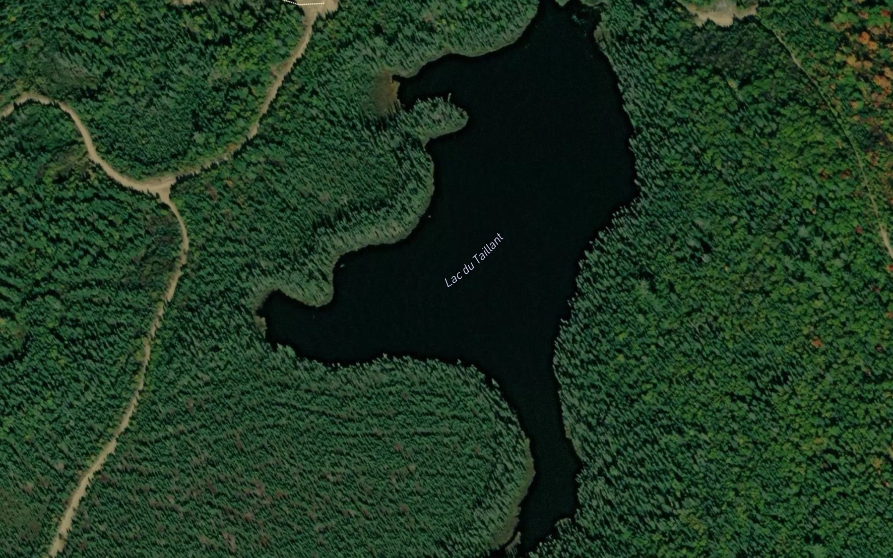 Satellite map of the Lac du Taillant