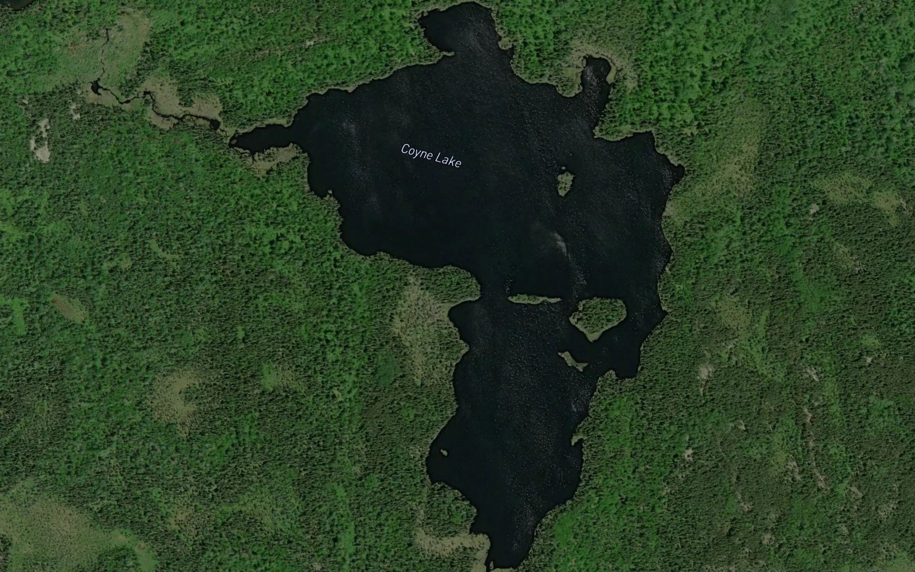 Satellite map of the Coyne Lake