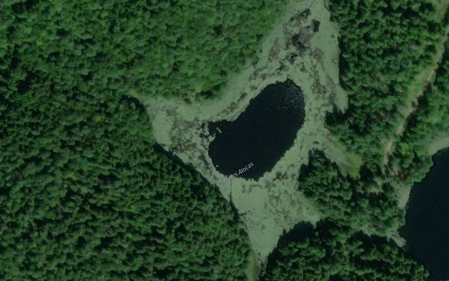 Satellite map of the Lac des Atocas