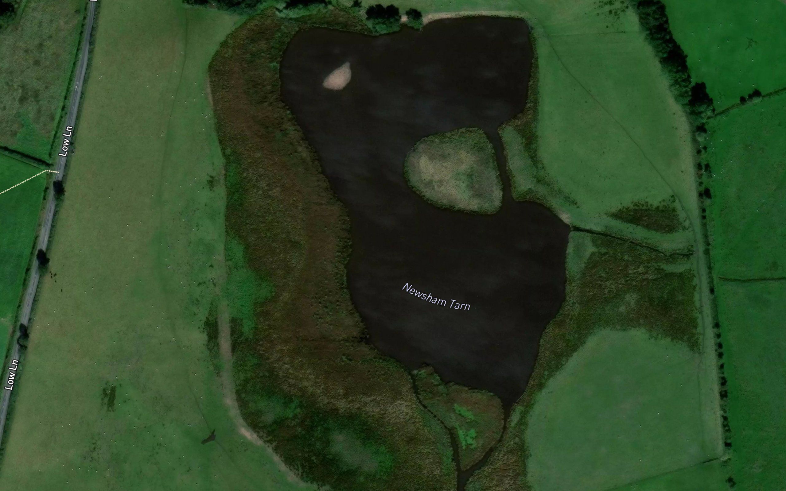 Newsham Tarn