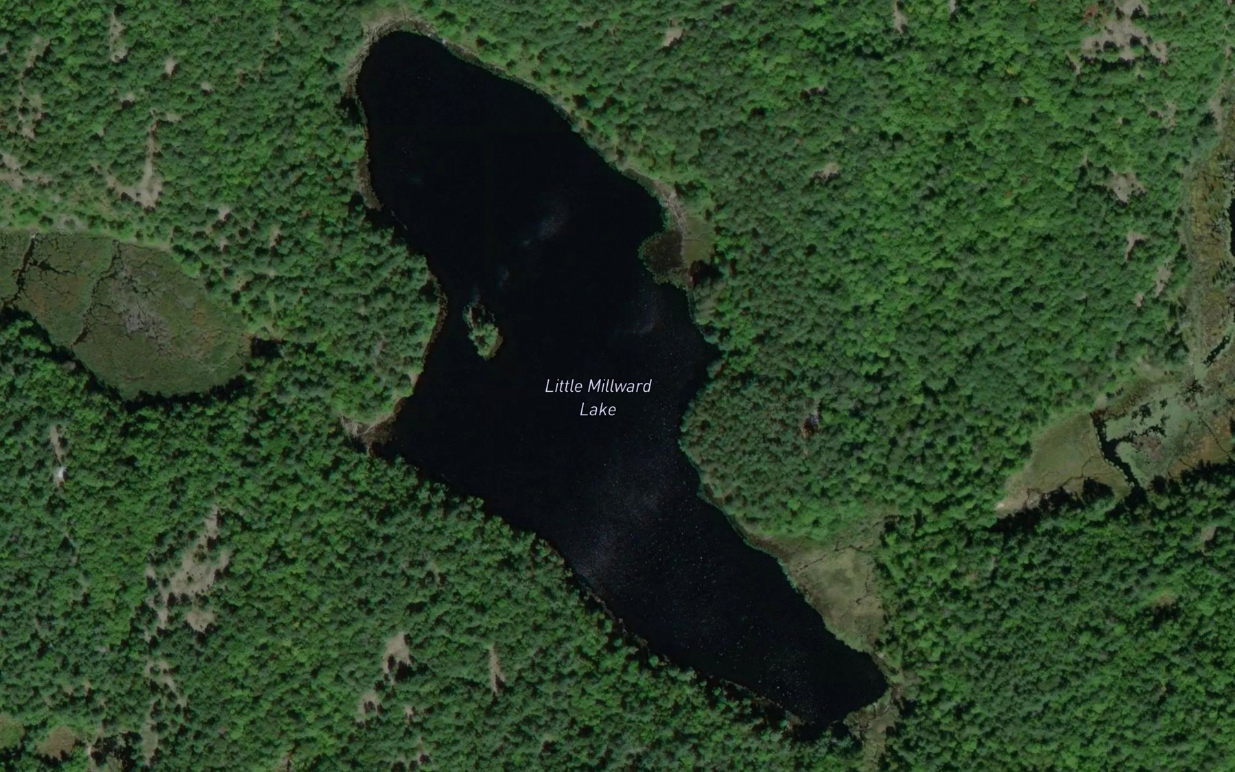 Satellite map of the Little Millward Lake