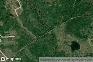 Bark Creek