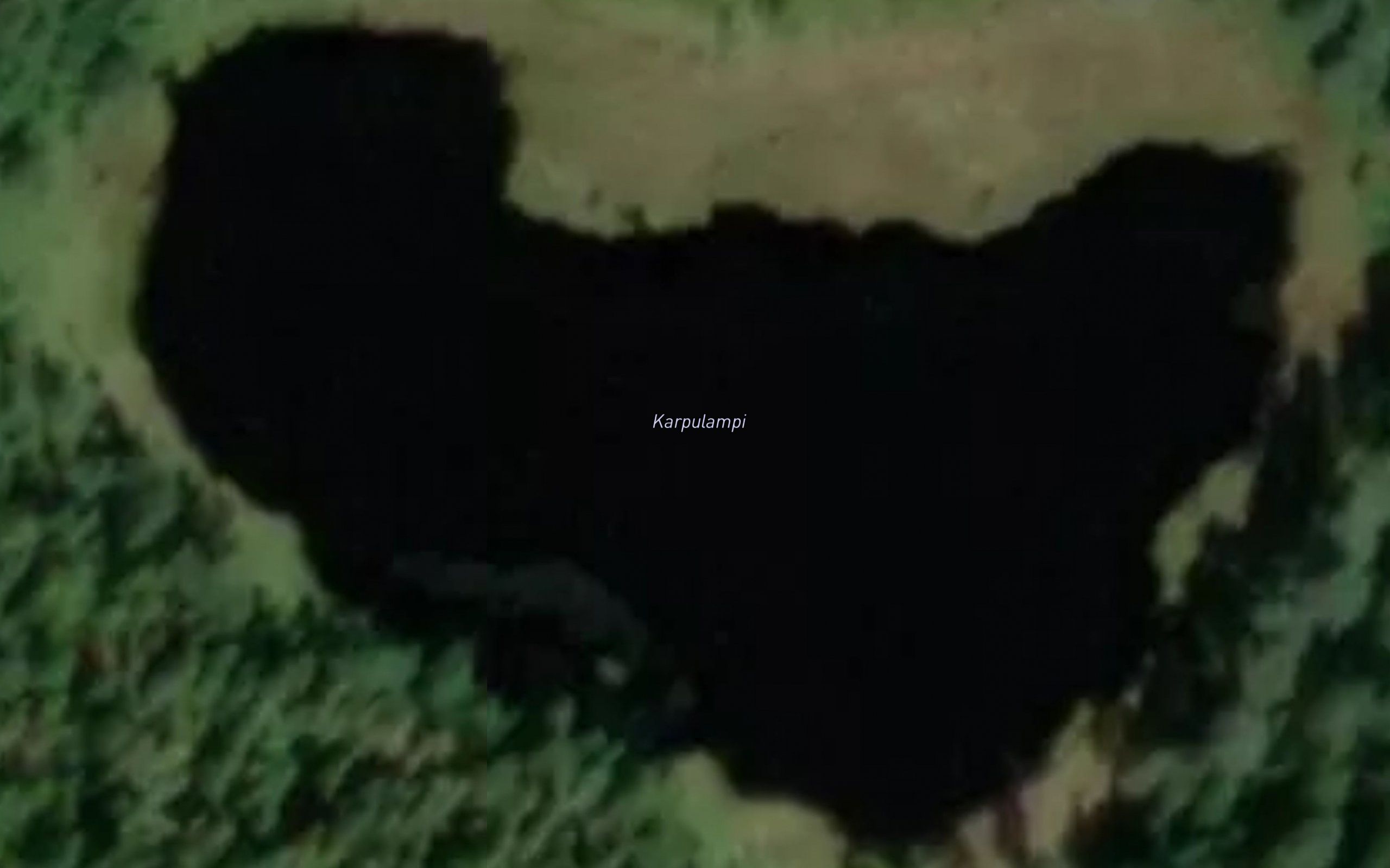 Karpulammit