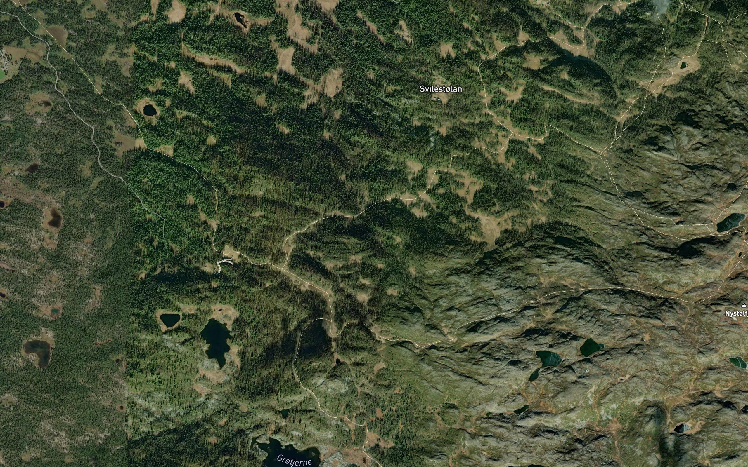 Fjellbekken