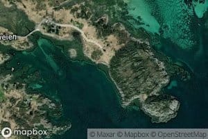 Kalvika