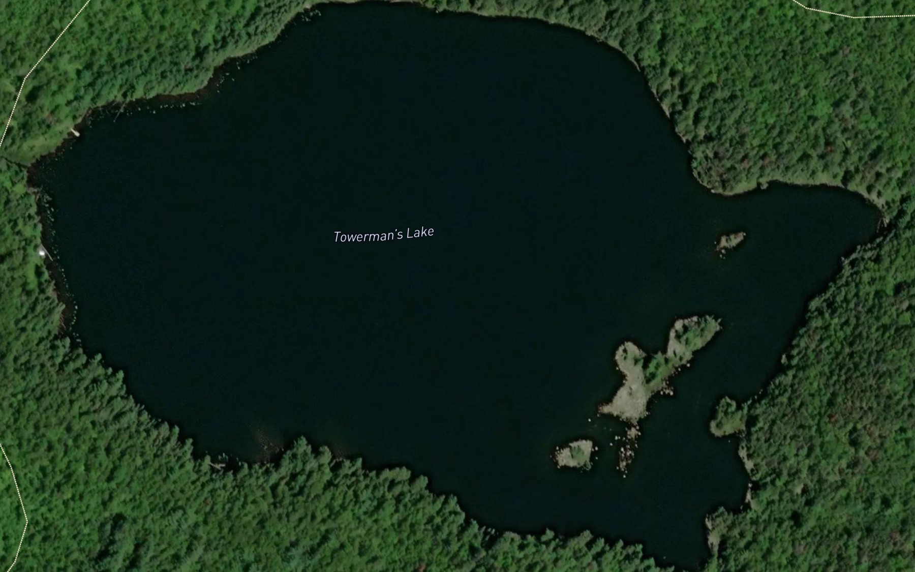 Satellite map of the Towerman's Lake