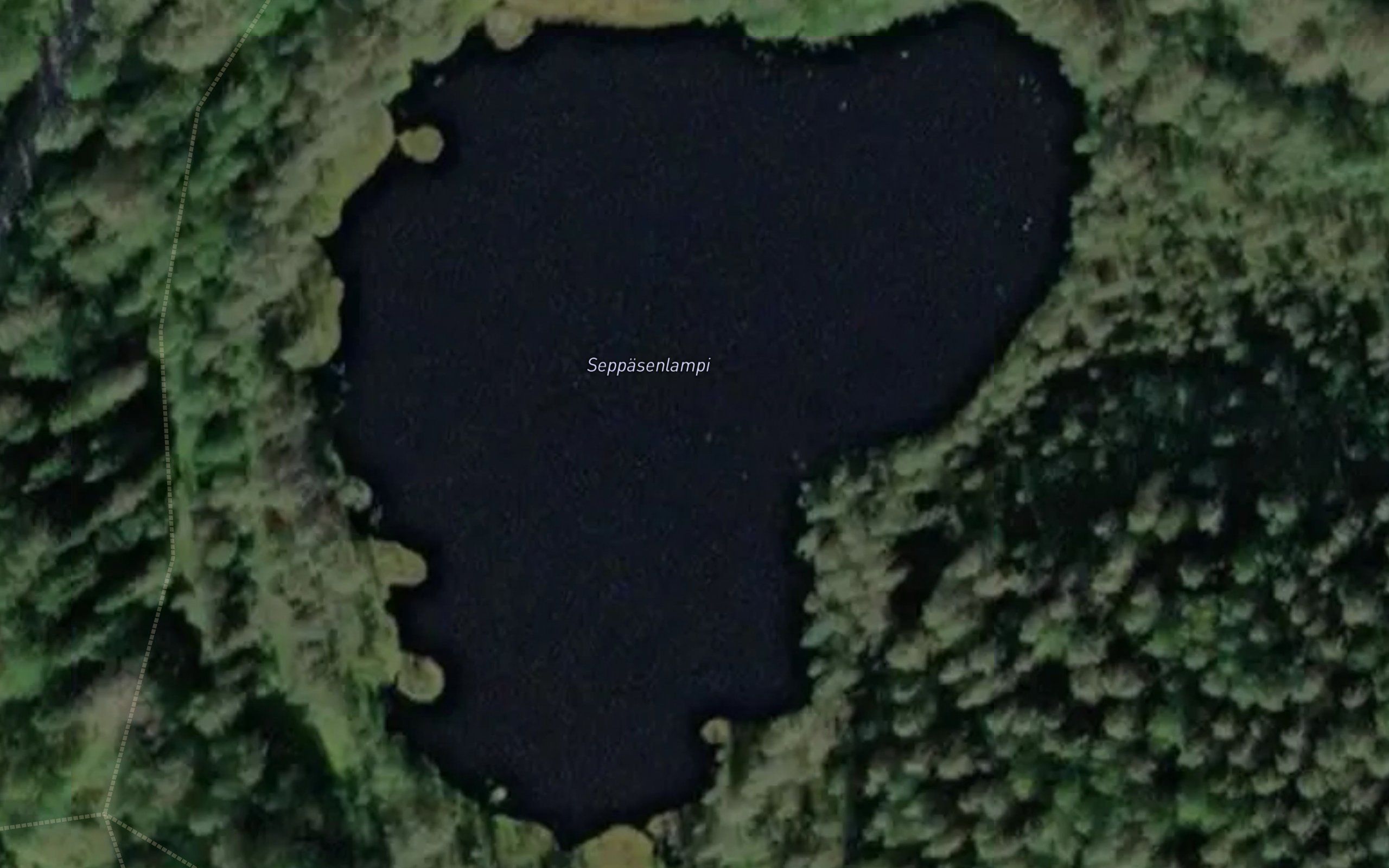 Seppasenlampi