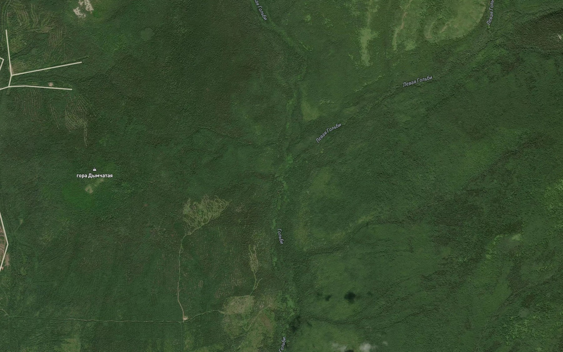 Satellite map of the Levaya Gol'bi
