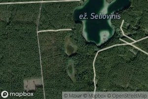 Ezeras Seliovinaitis