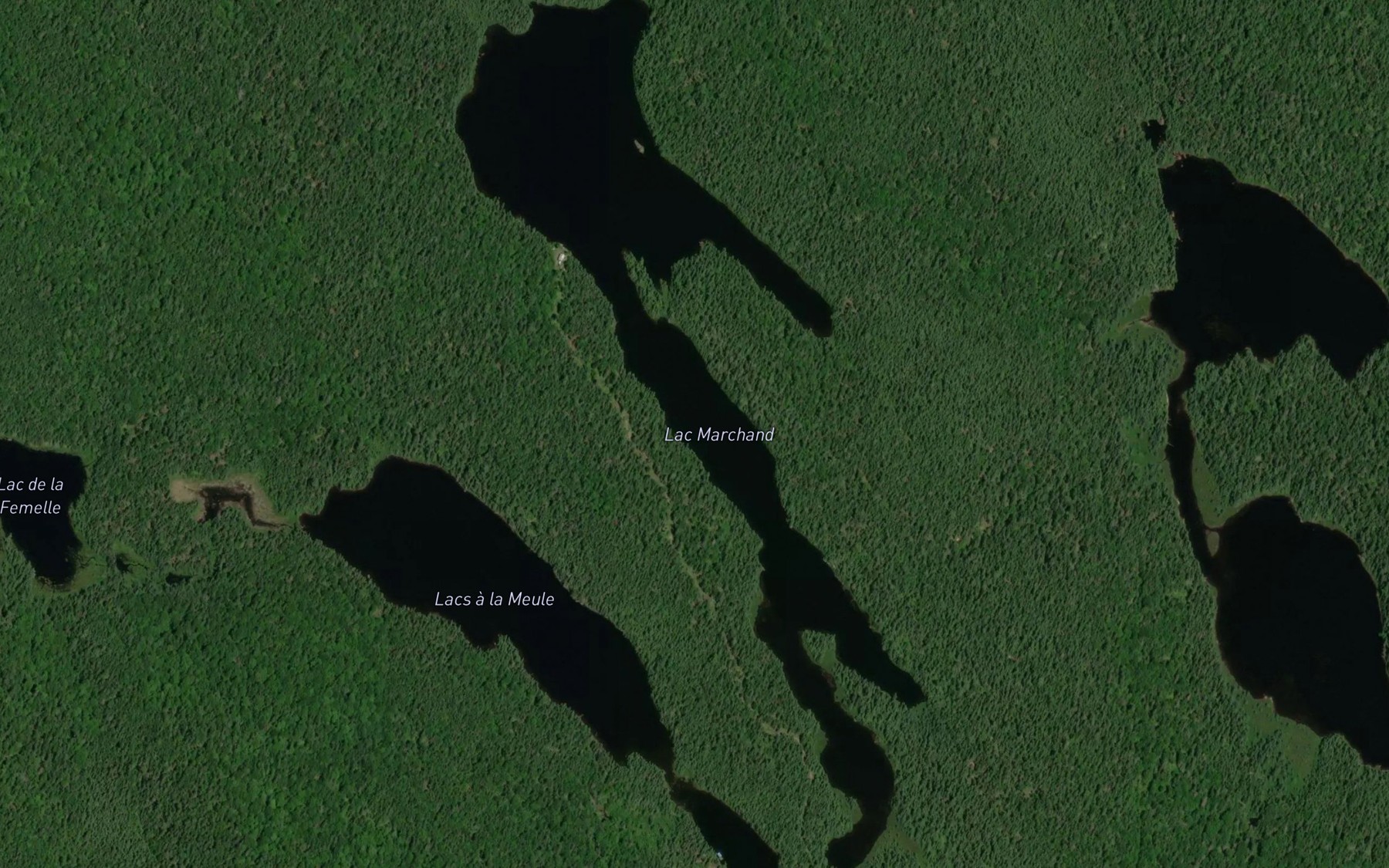 Satellite map of the Lac Marchand